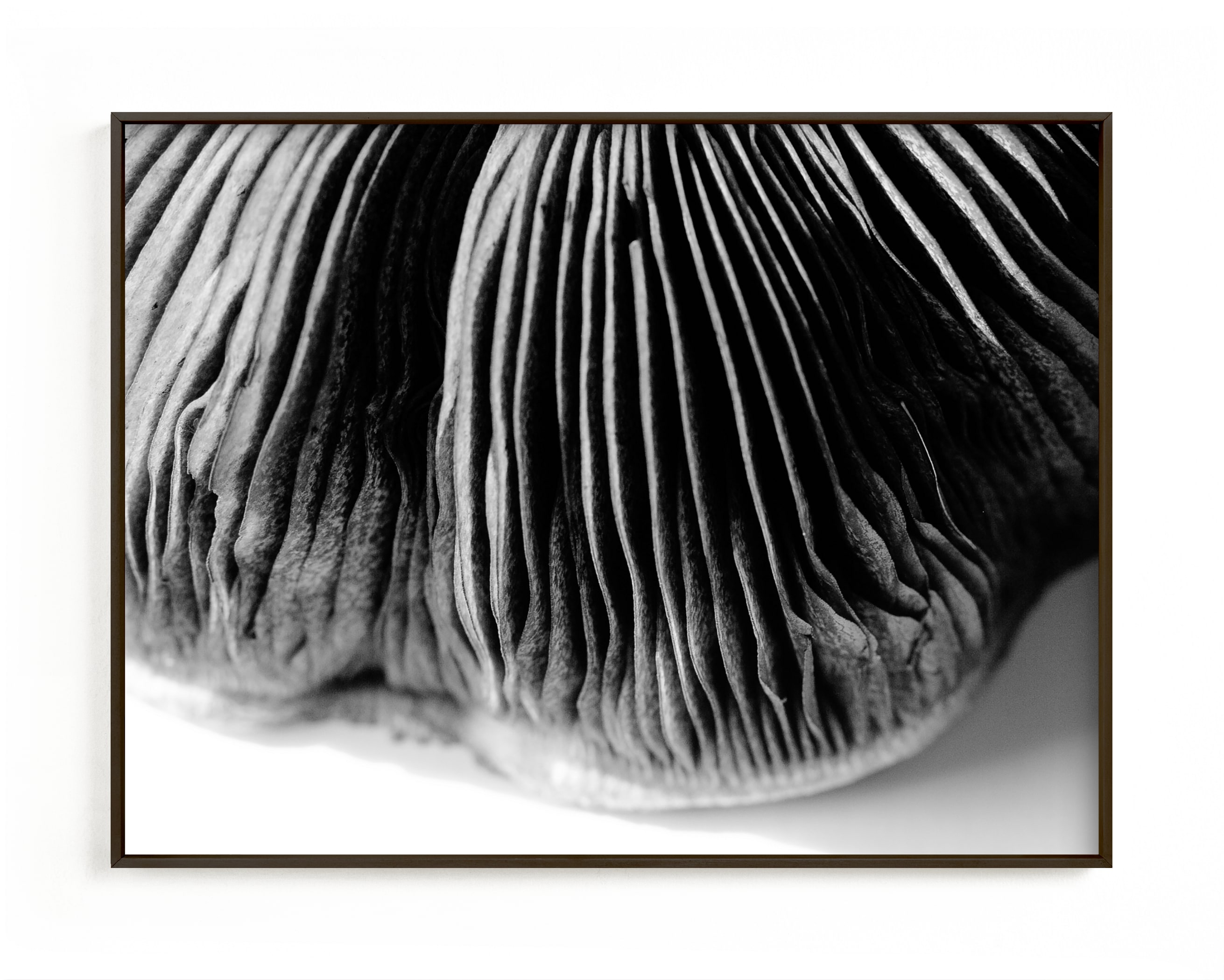 "Ripples of a Mushroom" by Alexis Arnold in beautiful frame options and a variety of sizes.