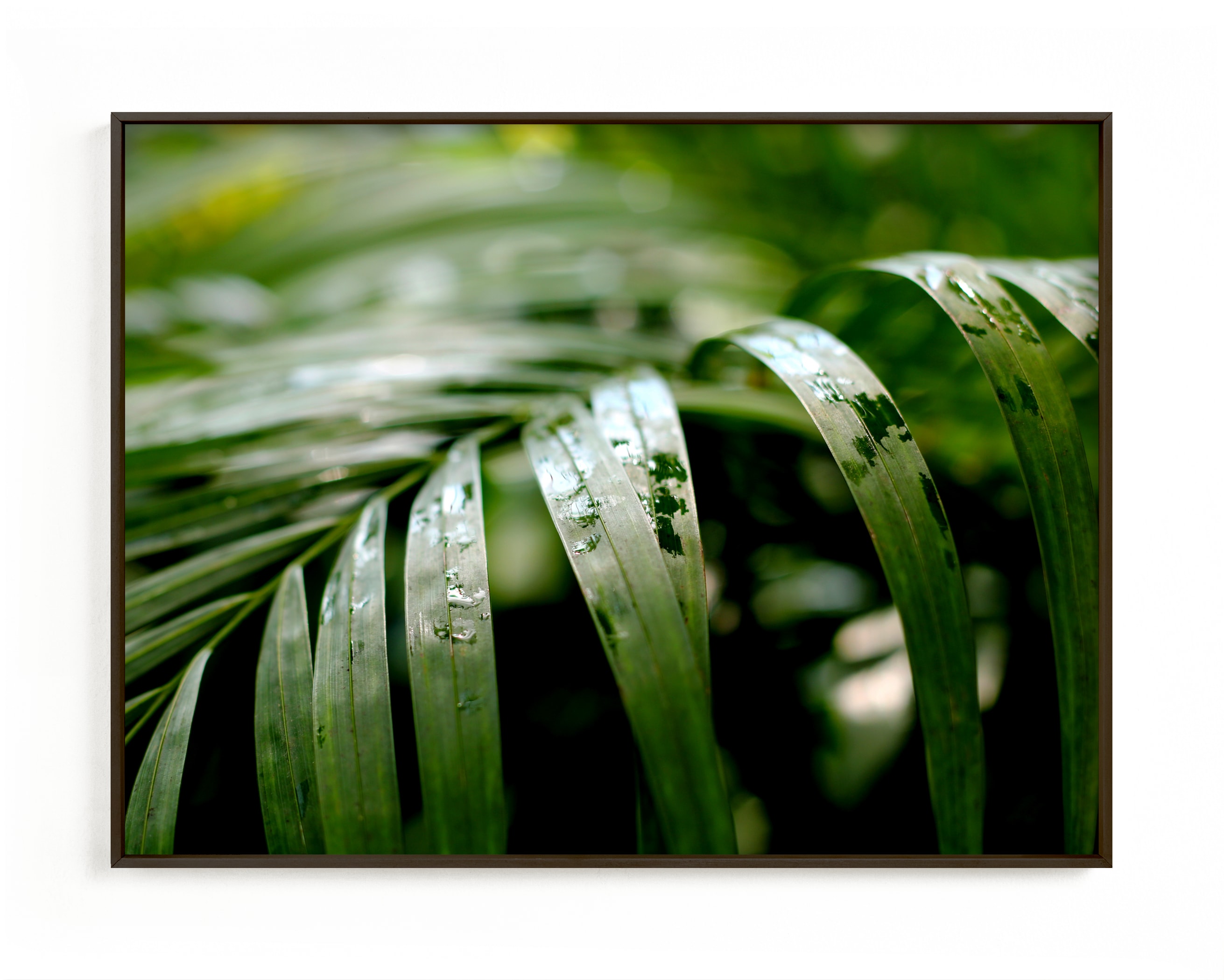 "Subdued" by Janelle Wourms in beautiful frame options and a variety of sizes.