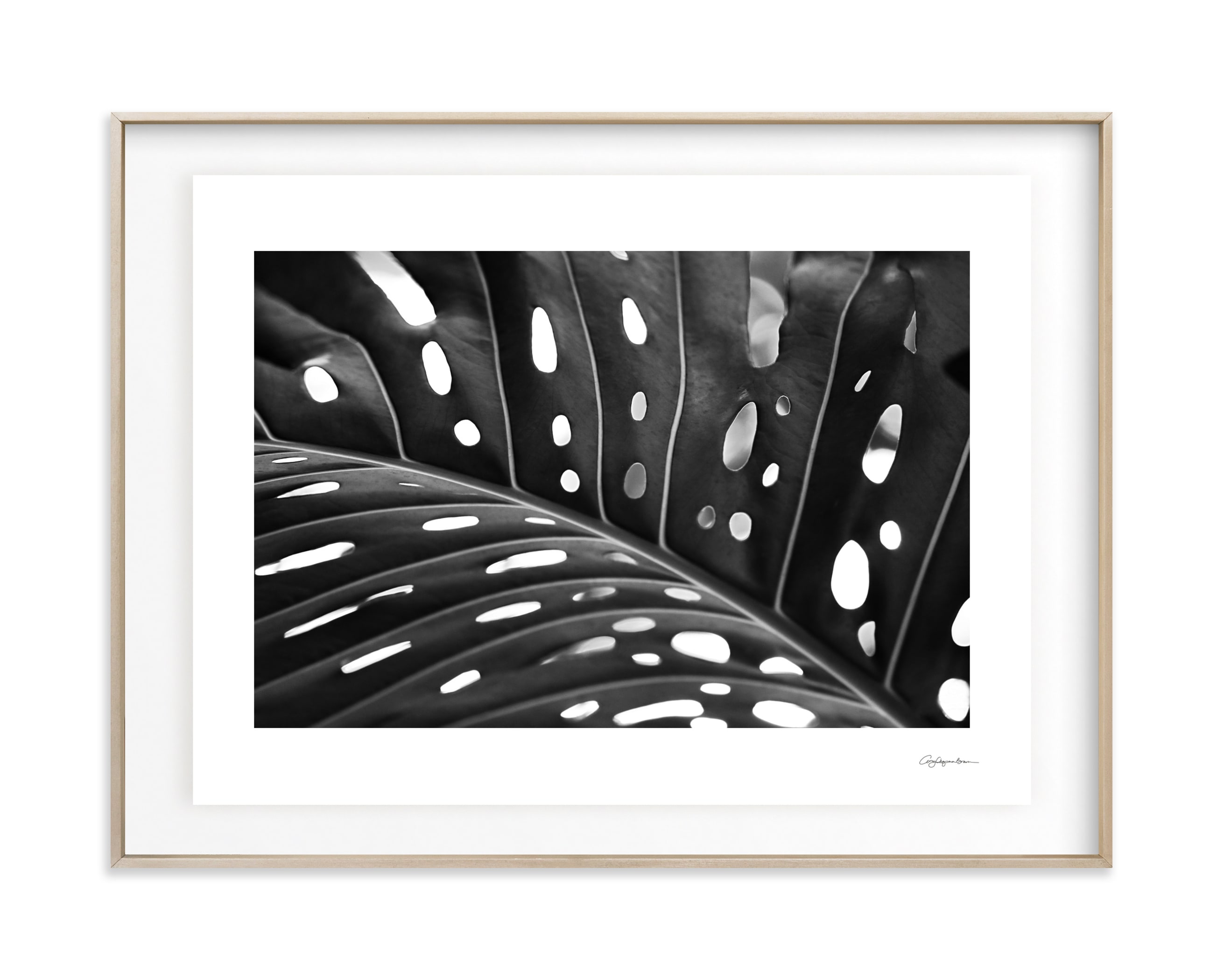 Peek A Boo Art Print