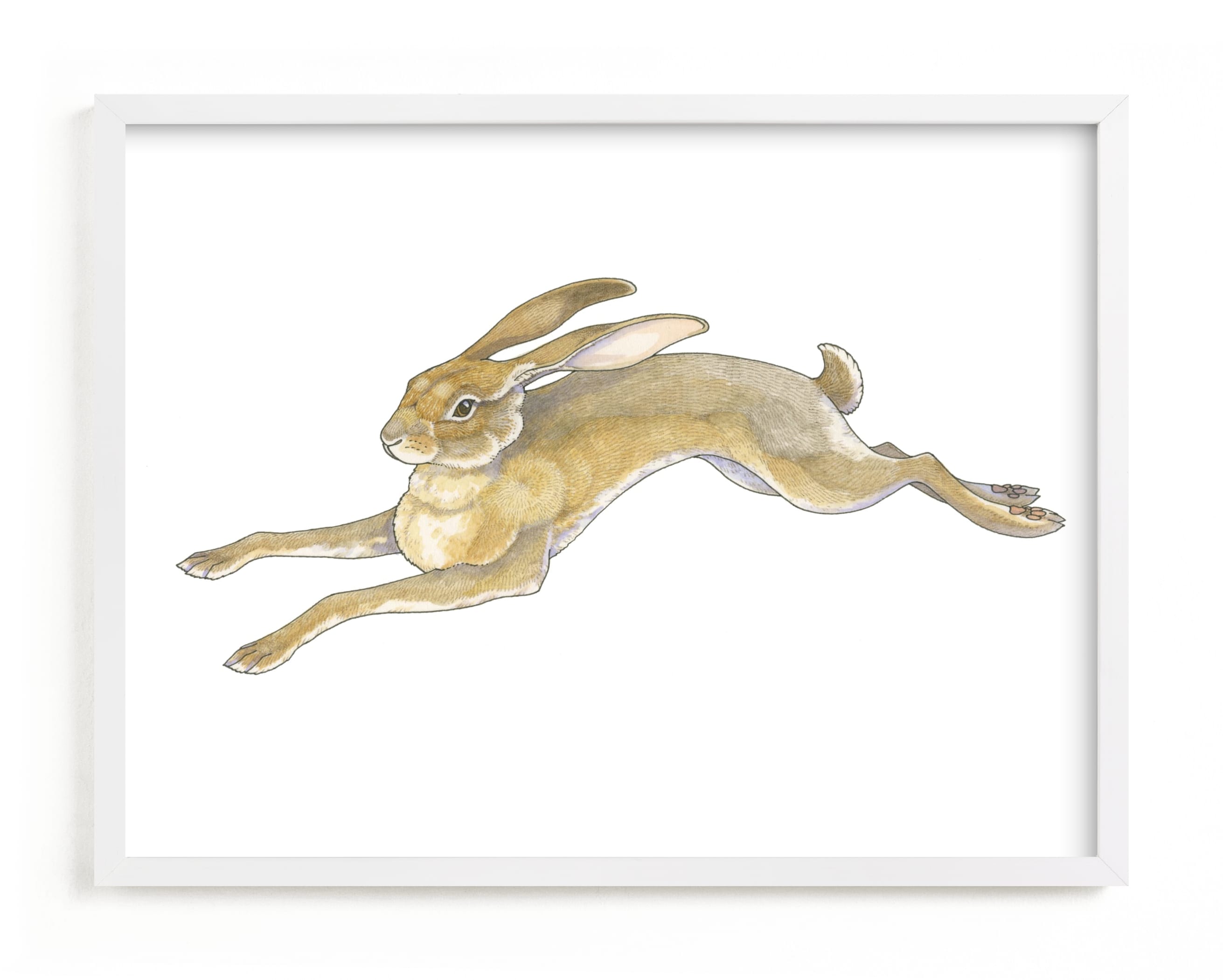 "Wild Hare" - Limited Edition Art Print by Natalie Groves in beautiful frame options and a variety of sizes.