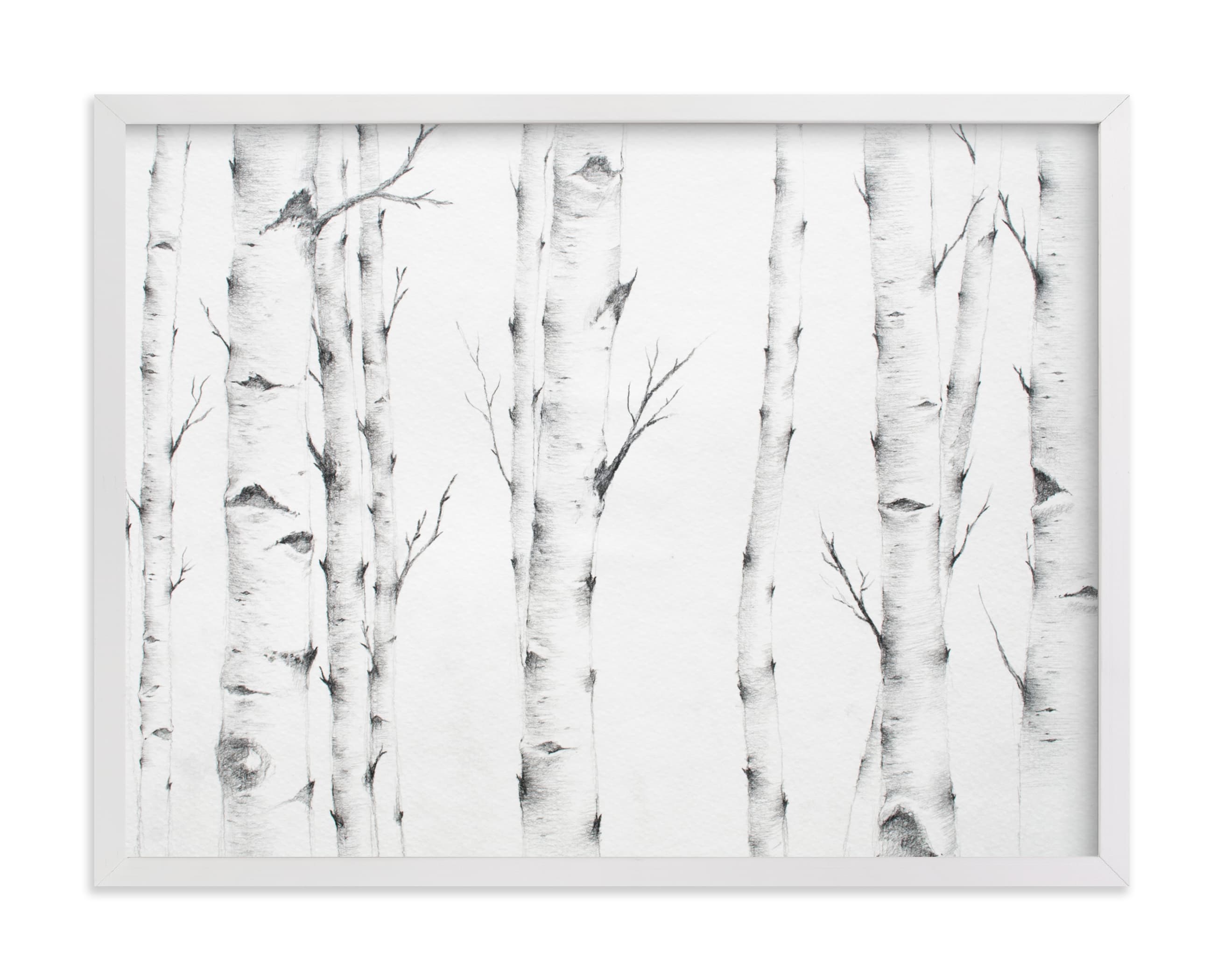 Birch Story Art Print