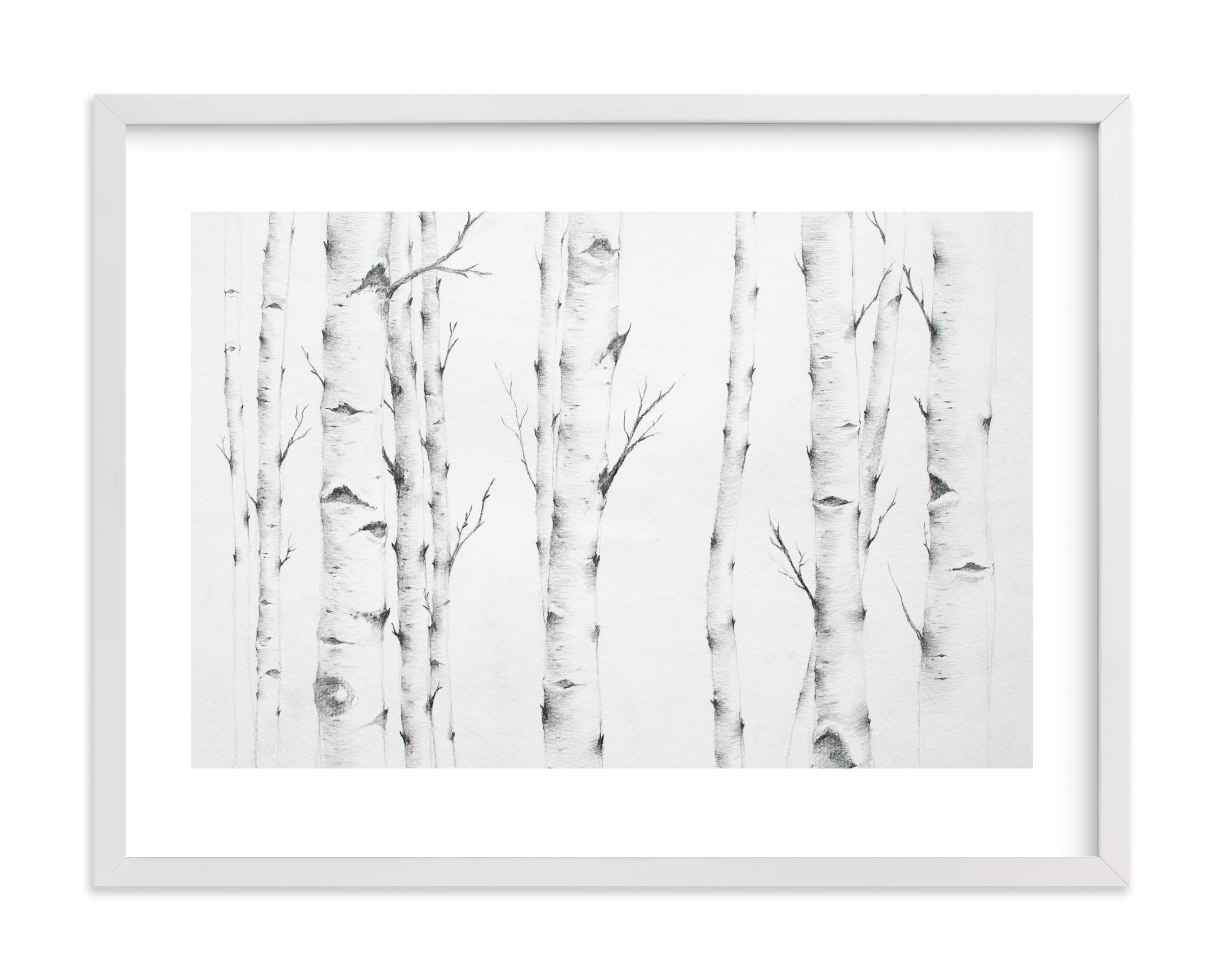 "Birch Story" - Limited Edition Art Print by jinseikou in beautiful frame options and a variety of sizes.