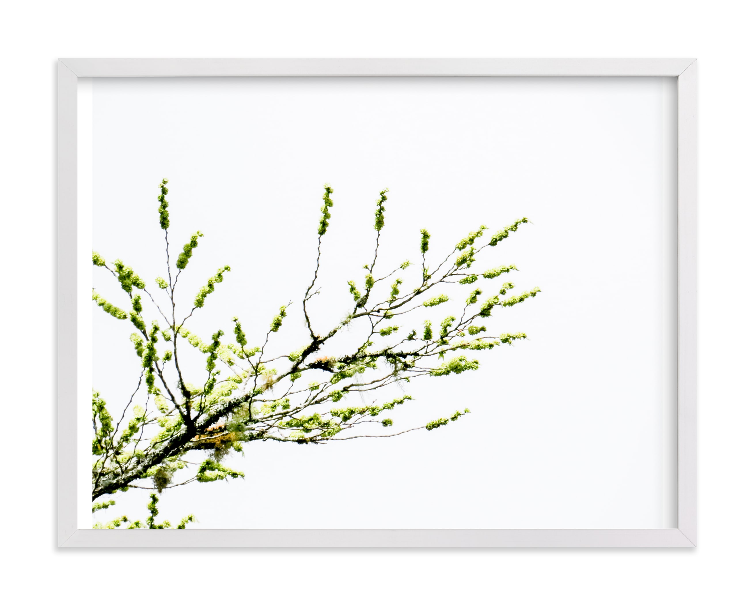 Sun seeking Art Print