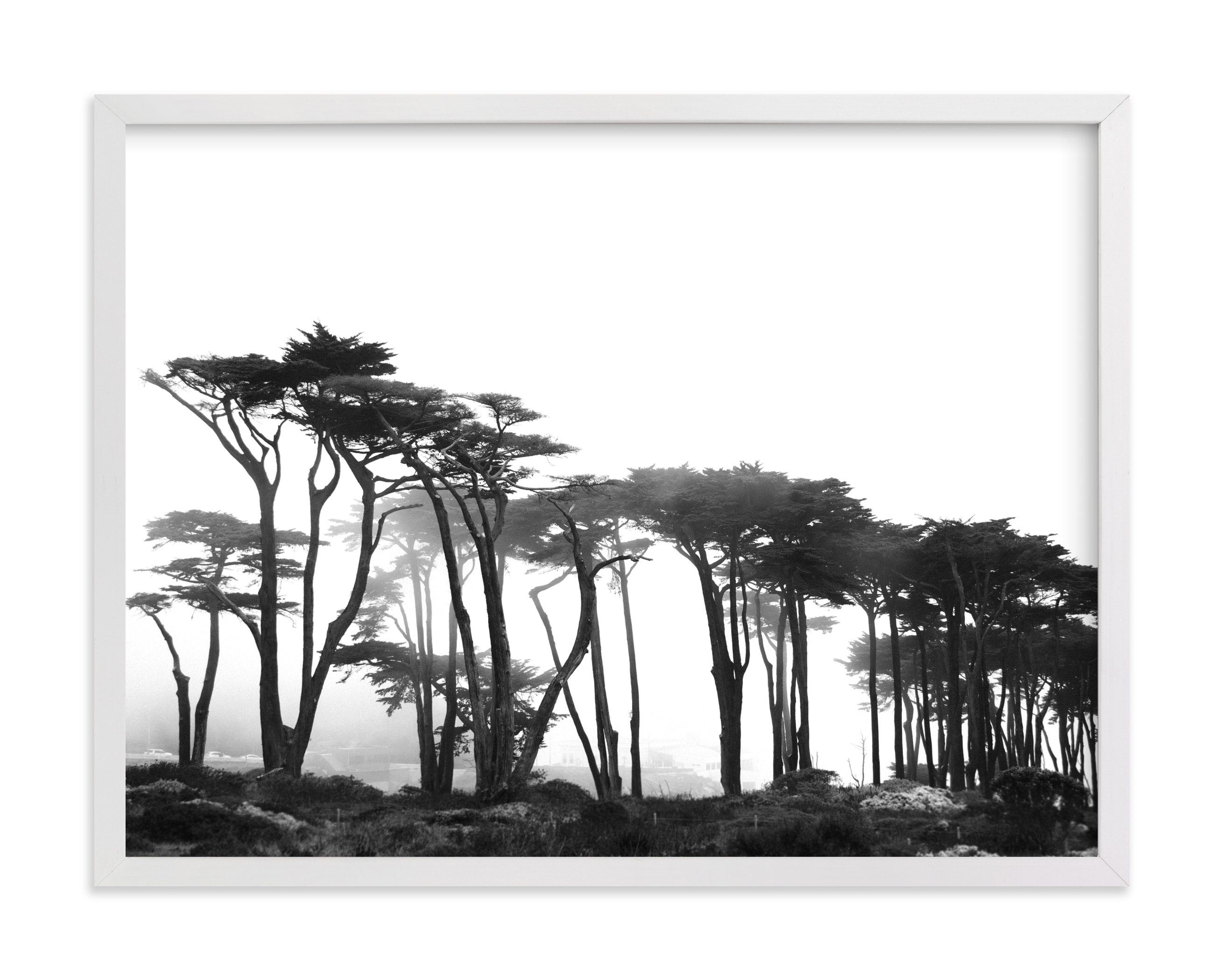 Lands End Art Print