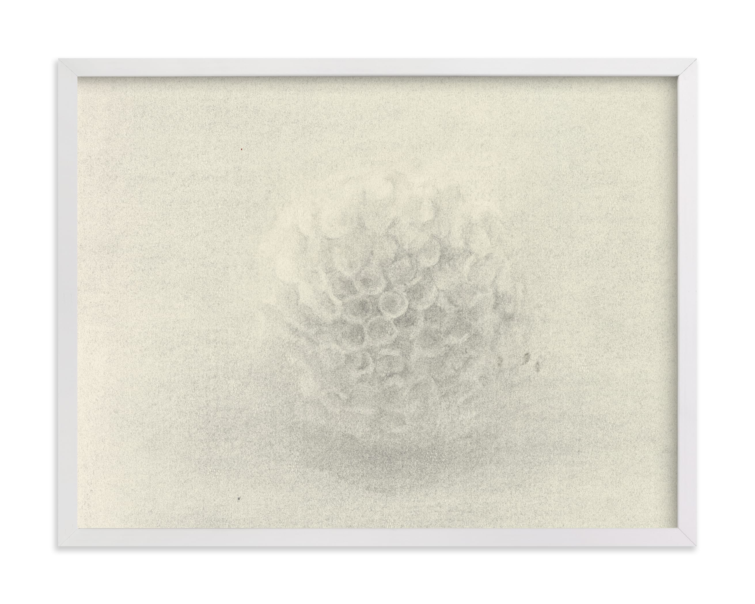 Sea Urchin Art Print