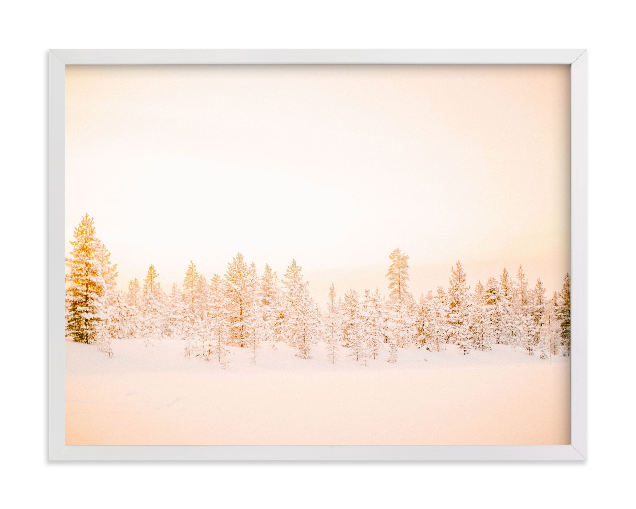 Finnish Forest Art Print