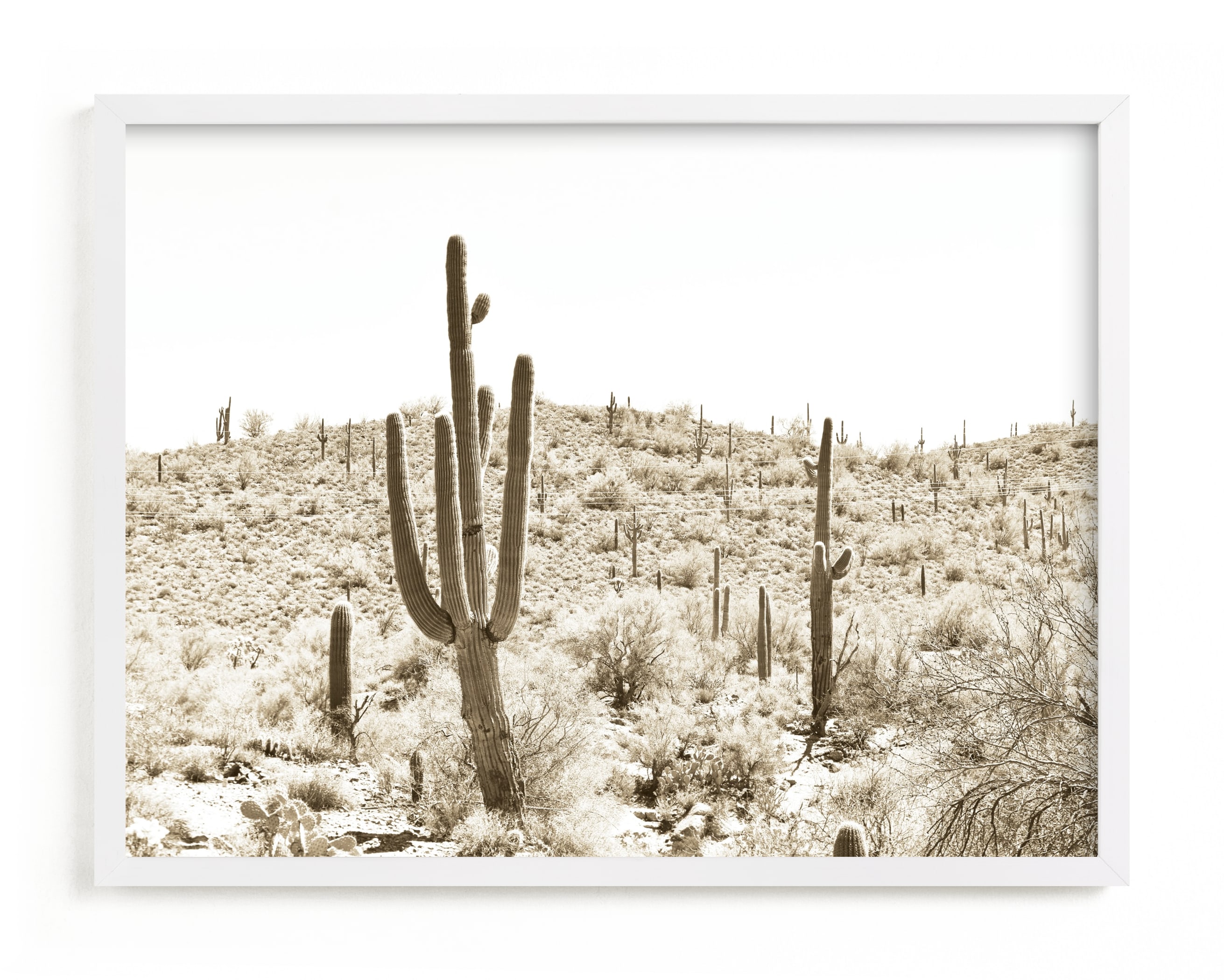 Shop Dusty Cacti 24'' x 18'' from Minted on Openhaus