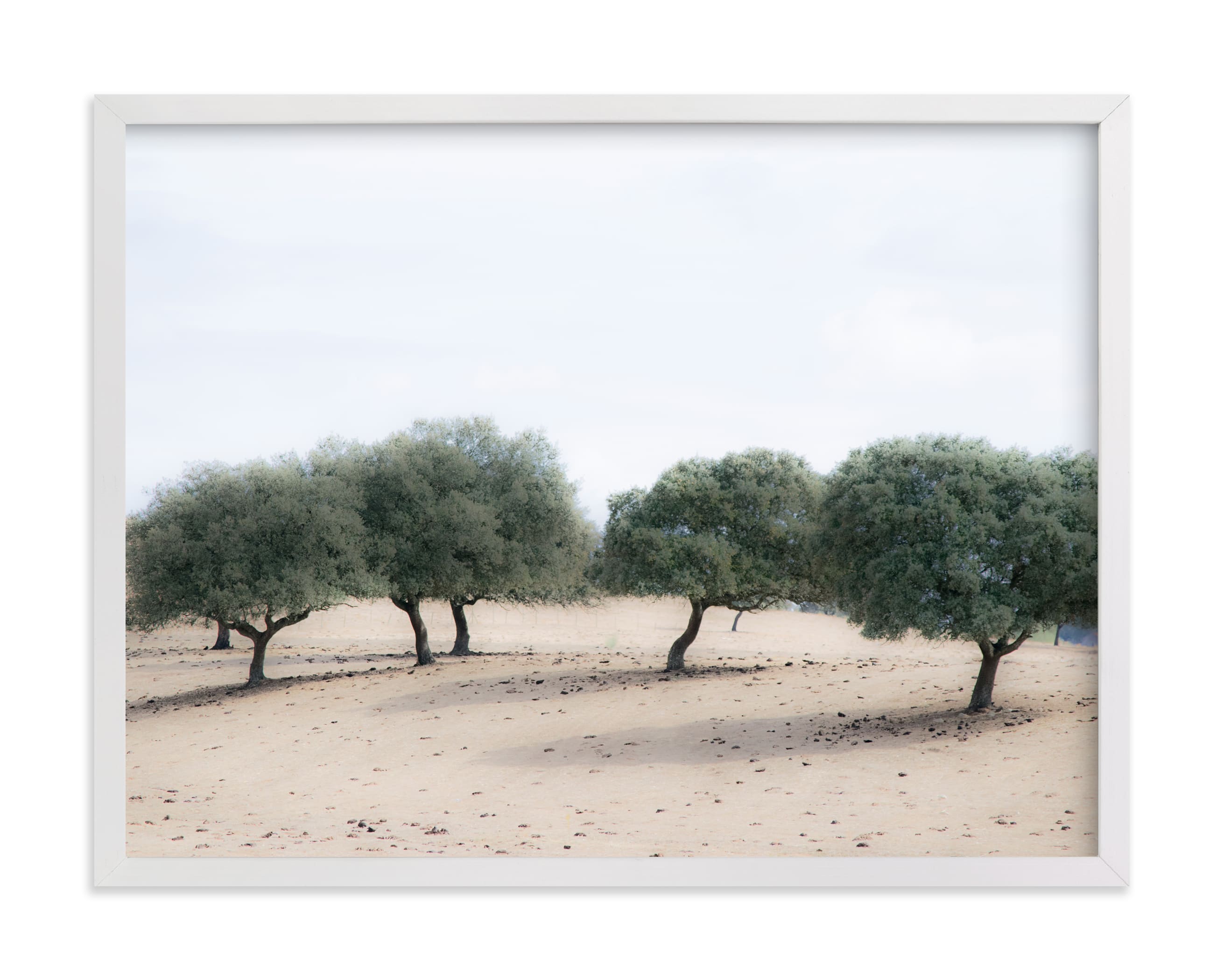 Casting Shade Art Print