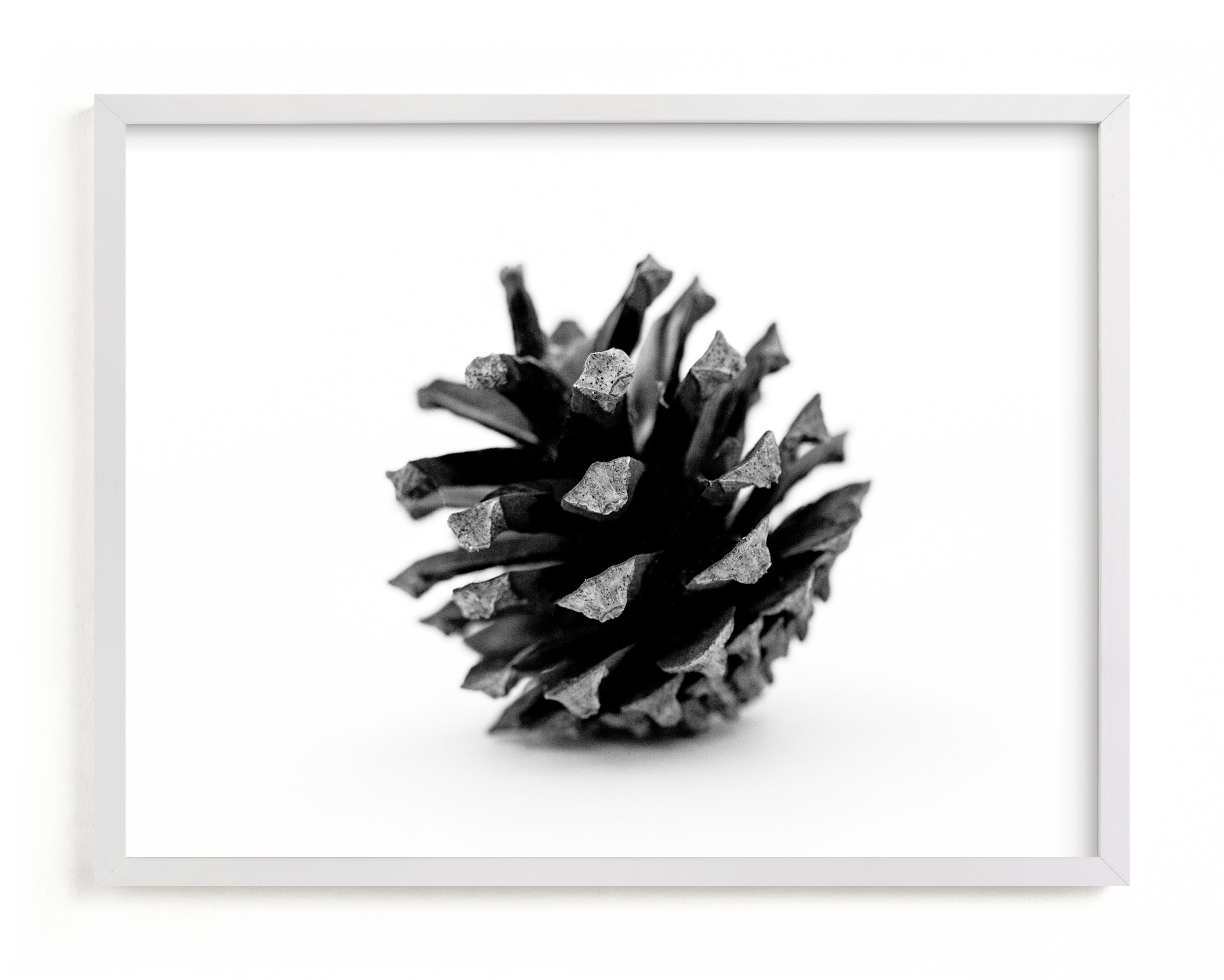 "Just A Small Cone" by Alexis Arnold in beautiful frame options and a variety of sizes.