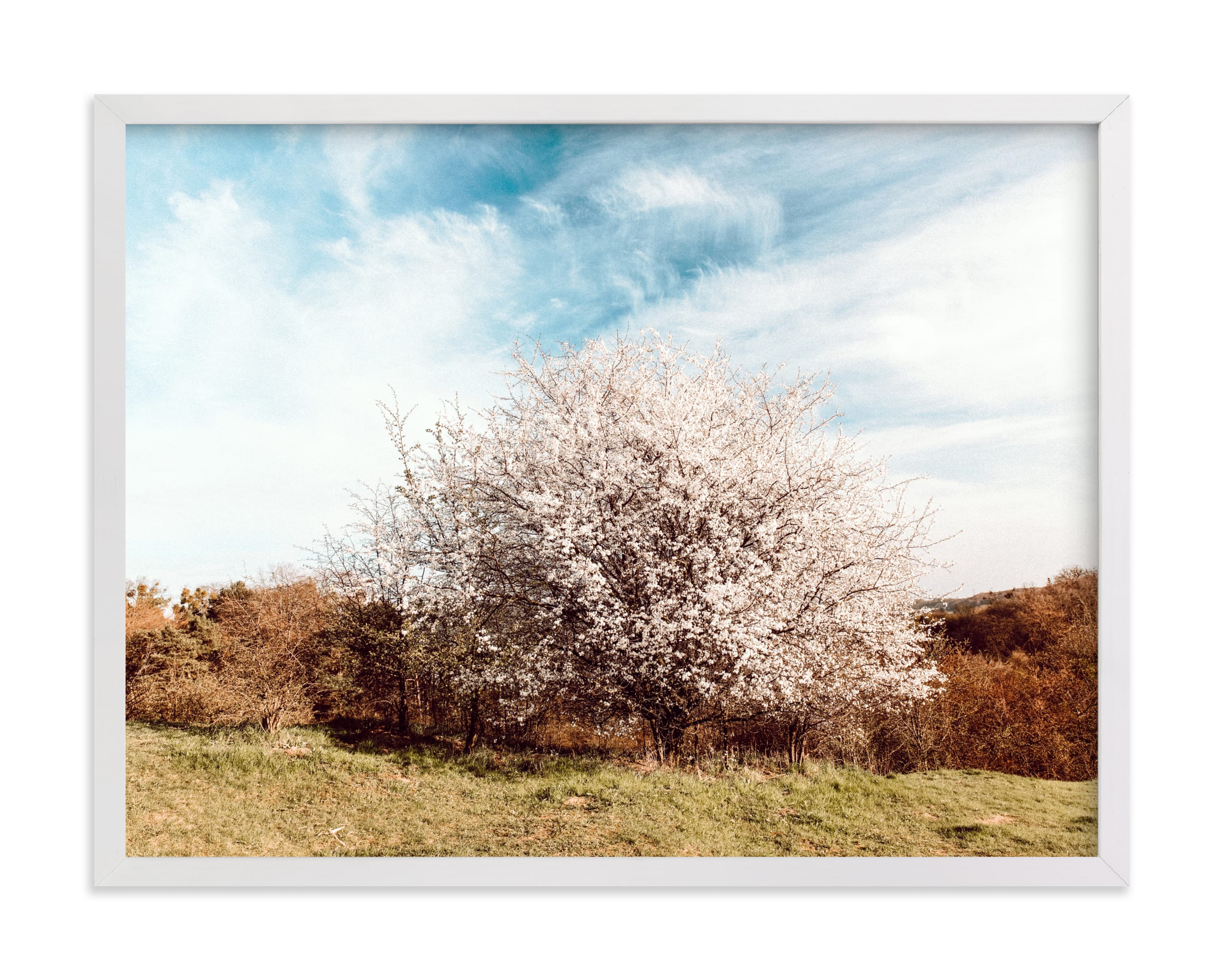"Blooming tree" by Lying on the grass in beautiful frame options and a variety of sizes.