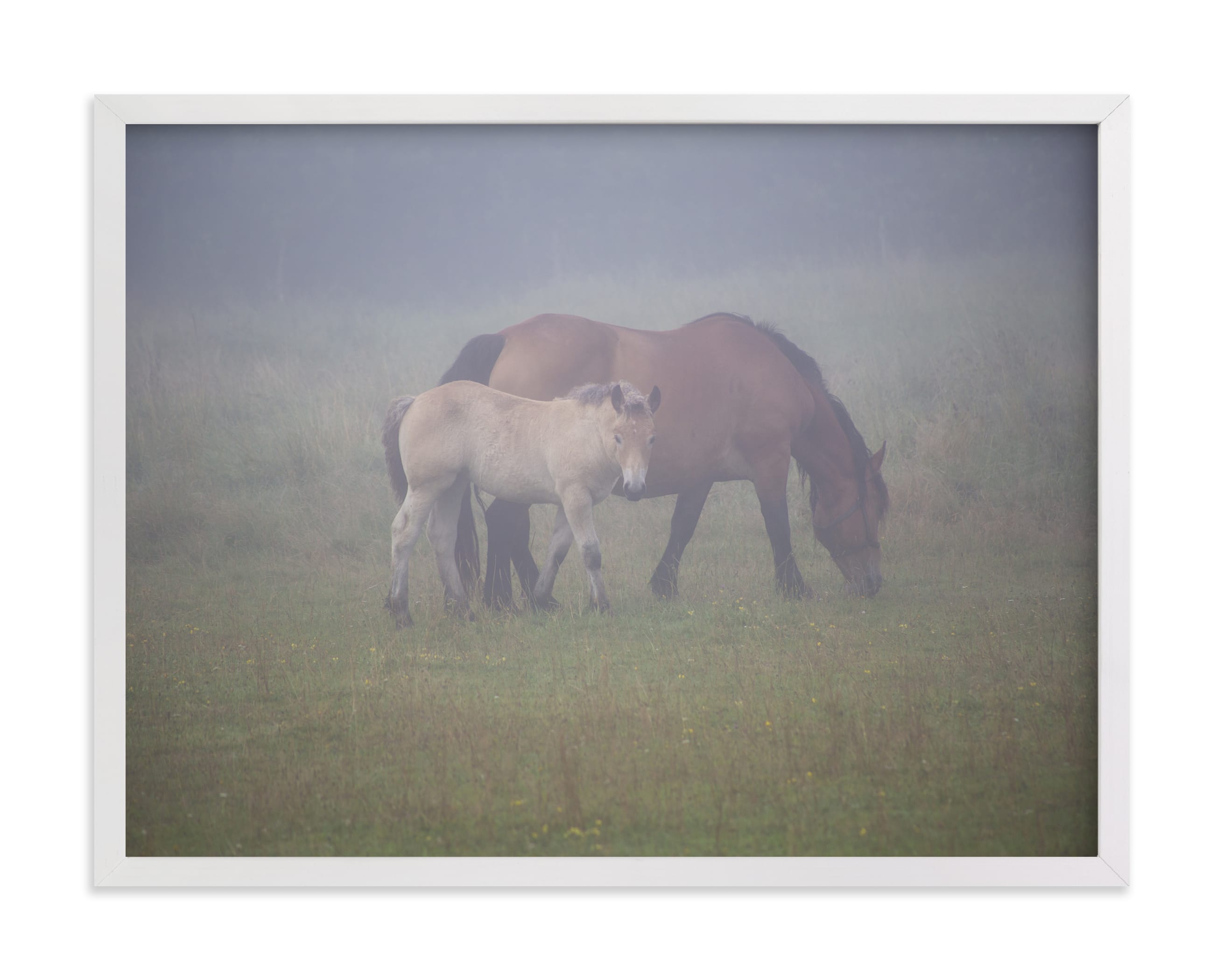 "A foal with its mother" by Lying on the grass in beautiful frame options and a variety of sizes.