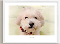 This is a white photos to art  by Minted called Custom Pet Portrait with Text -Landscape.