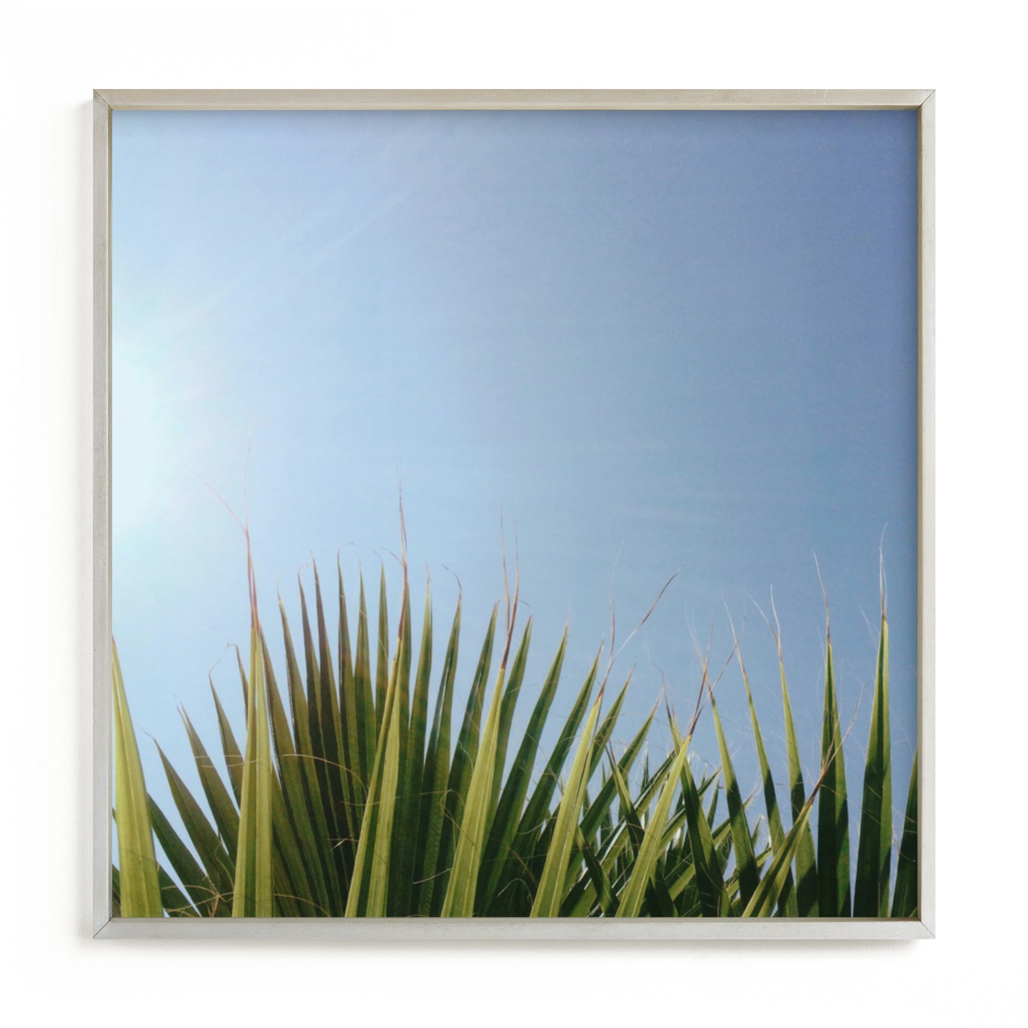 "Summer Fringe" - Limited Edition Art Print by SylvieCeres Designs in beautiful frame options and a variety of sizes.