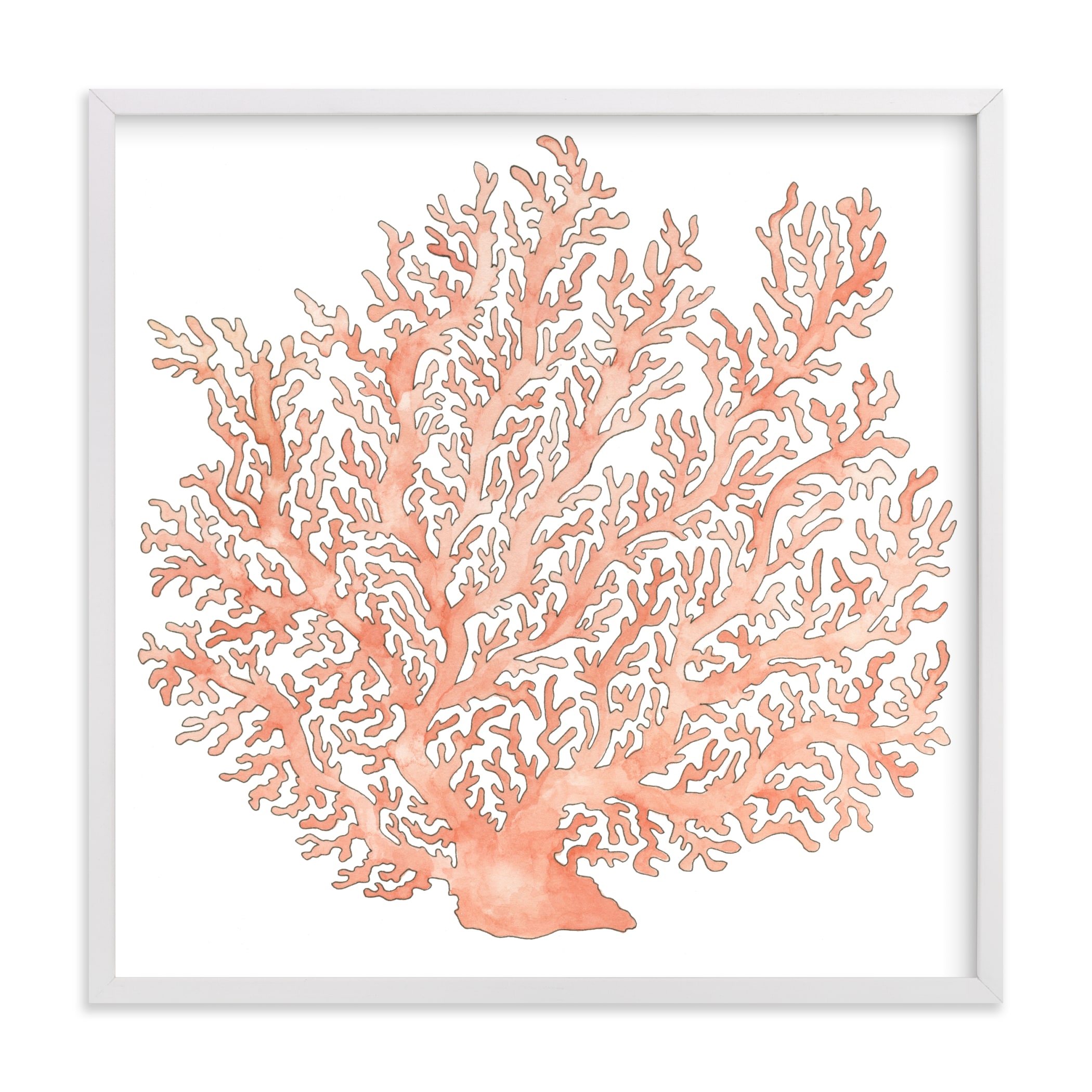 "Painted Coral" - Limited Edition Art Print by Natalie Groves in beautiful frame options and a variety of sizes.