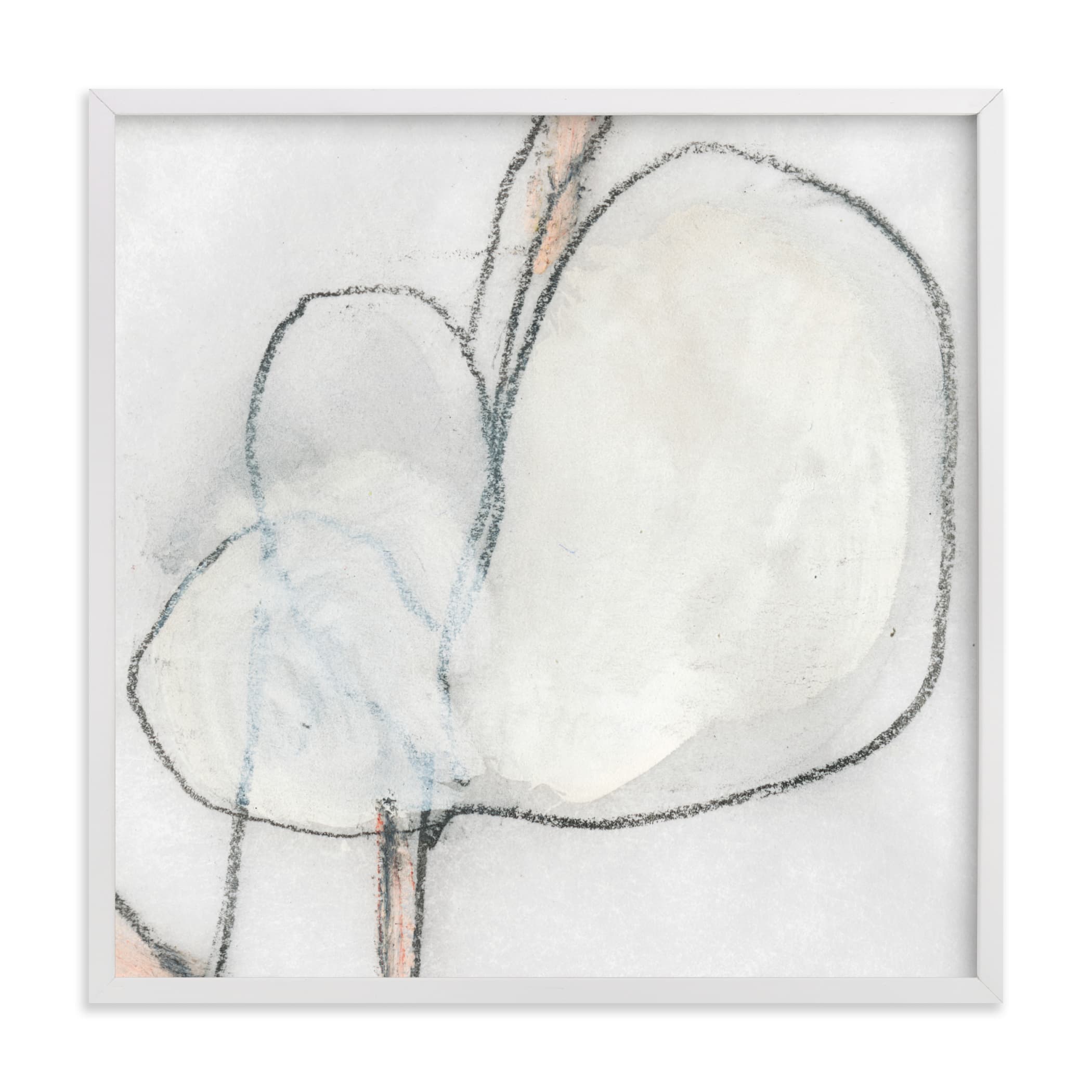 Southern Cotton Single Bloom Square Art Print