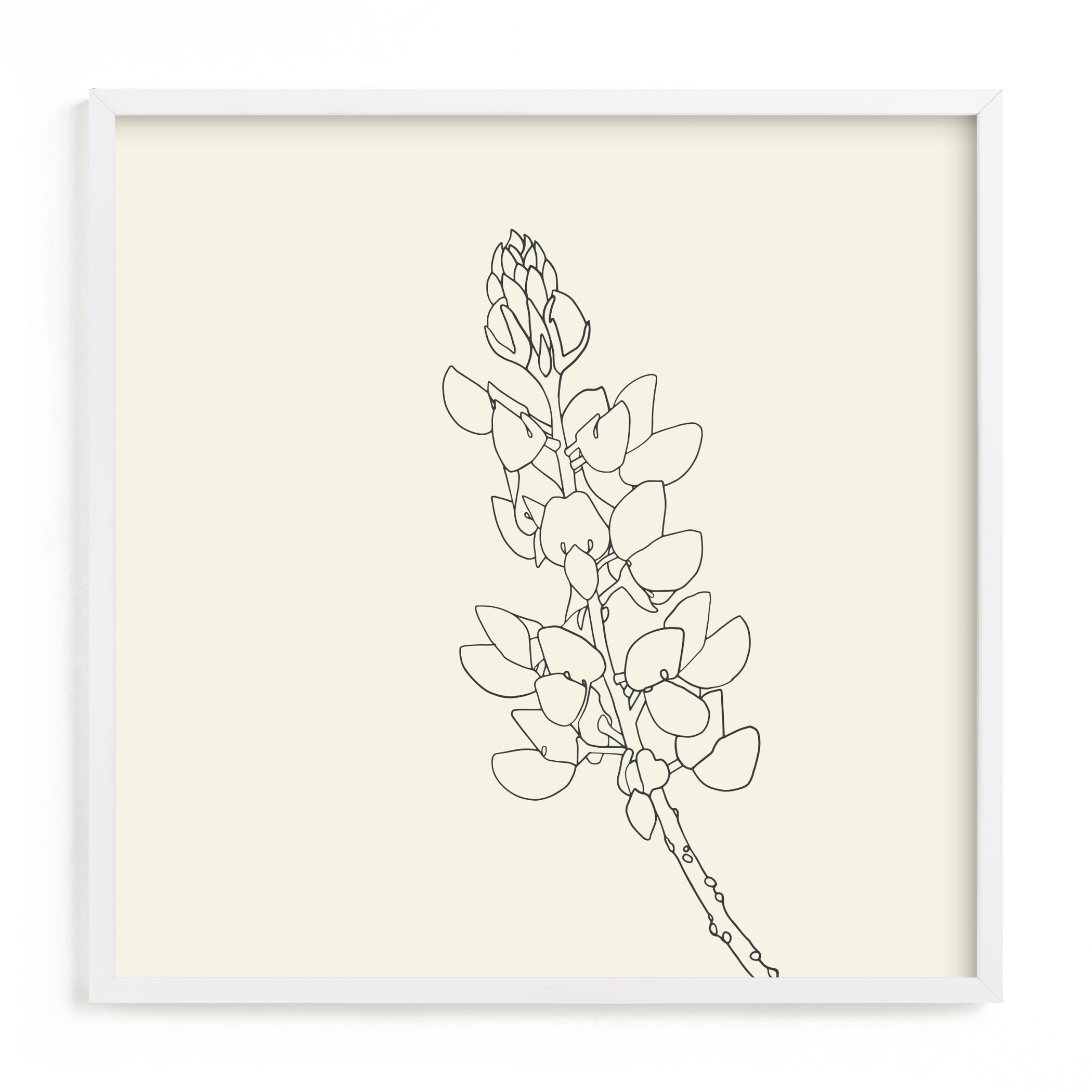 Lupine Art Print