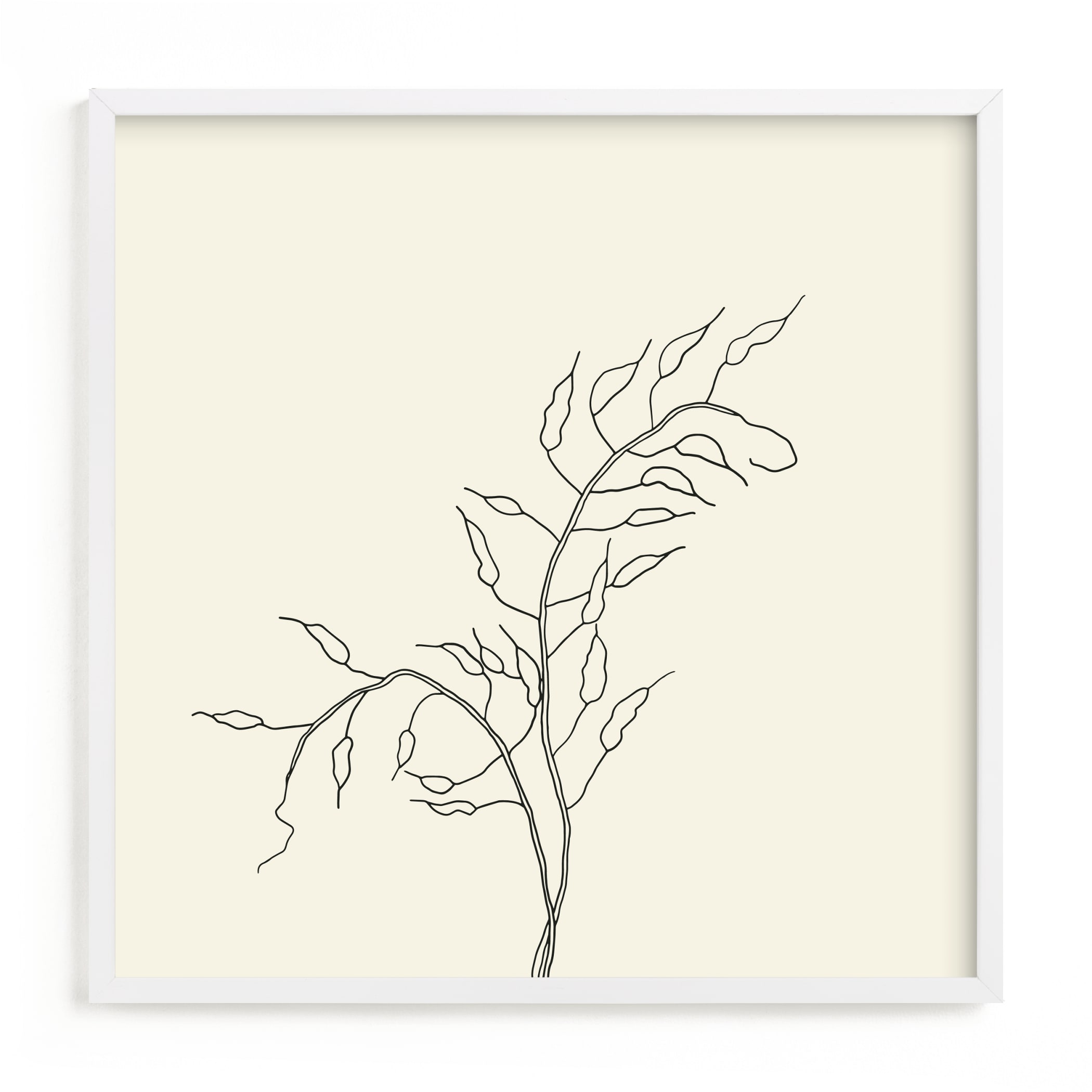 Wild Radish Art Print