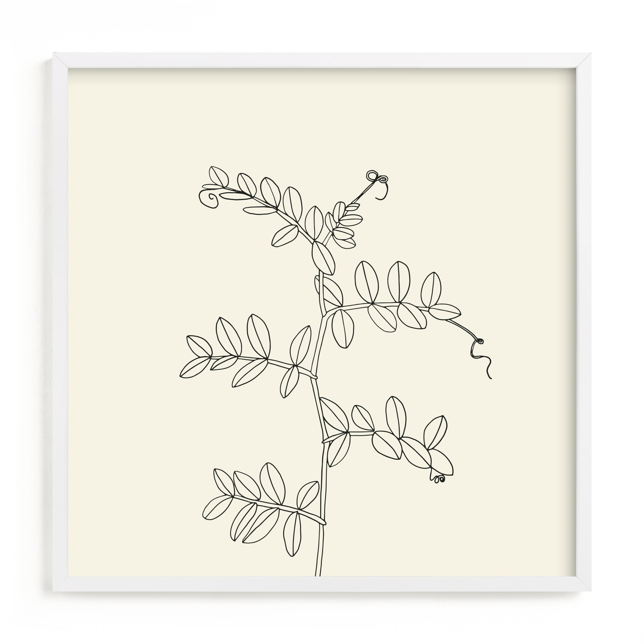 Wild Pea Art Print