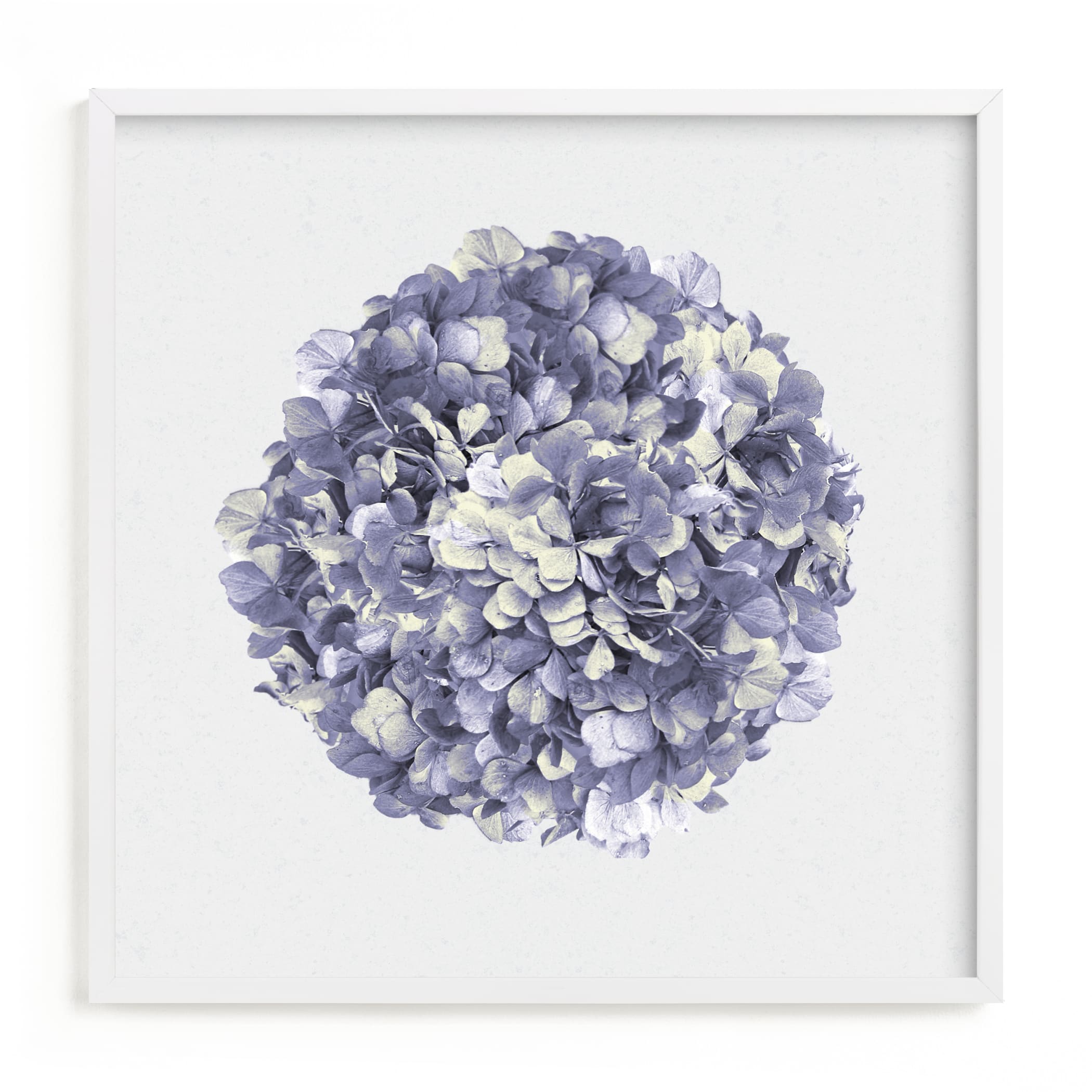 "Bloom Ball" by Justine Elliott in beautiful frame options and a variety of sizes.