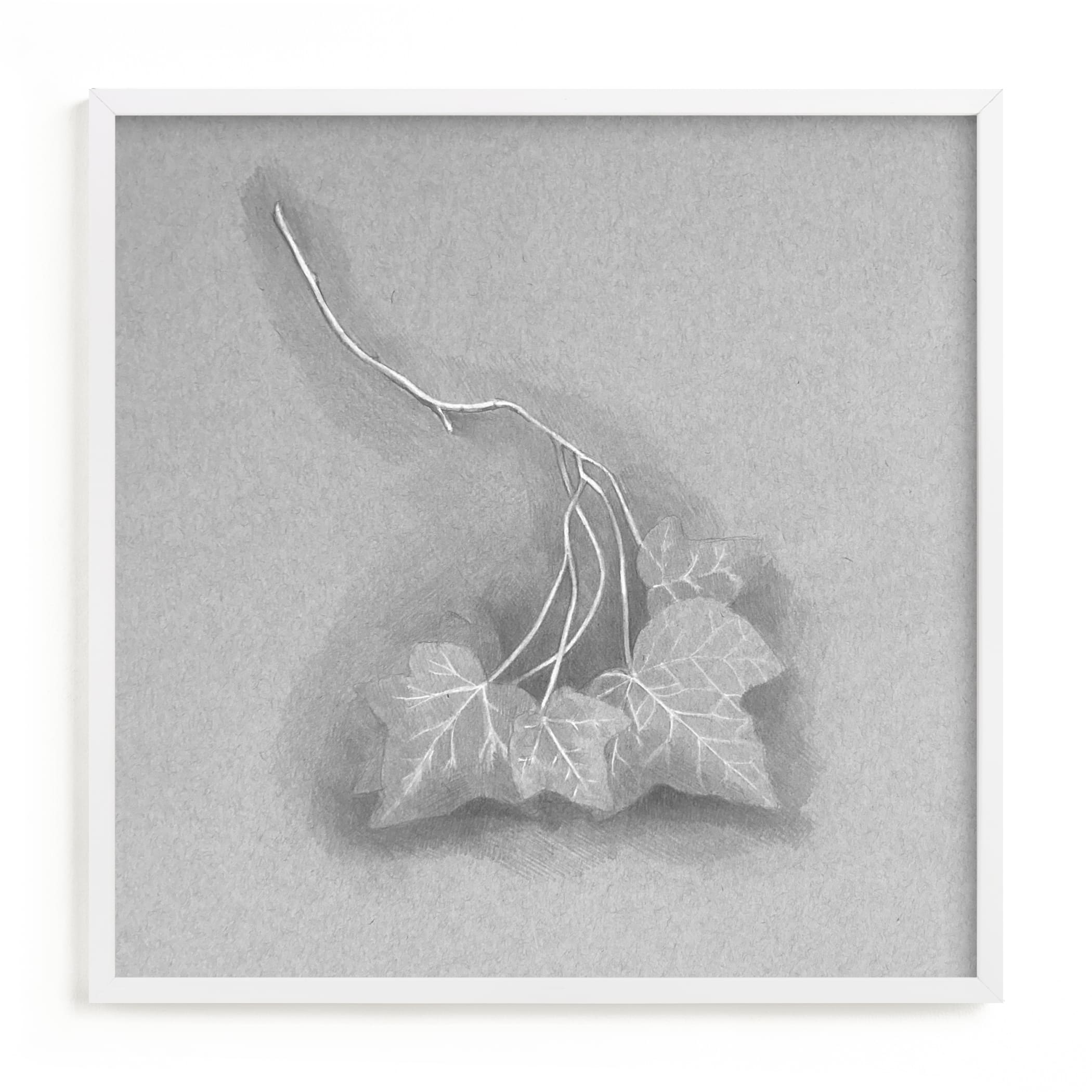 "Ivy Branch" by Meghan Lacey in beautiful frame options and a variety of sizes.