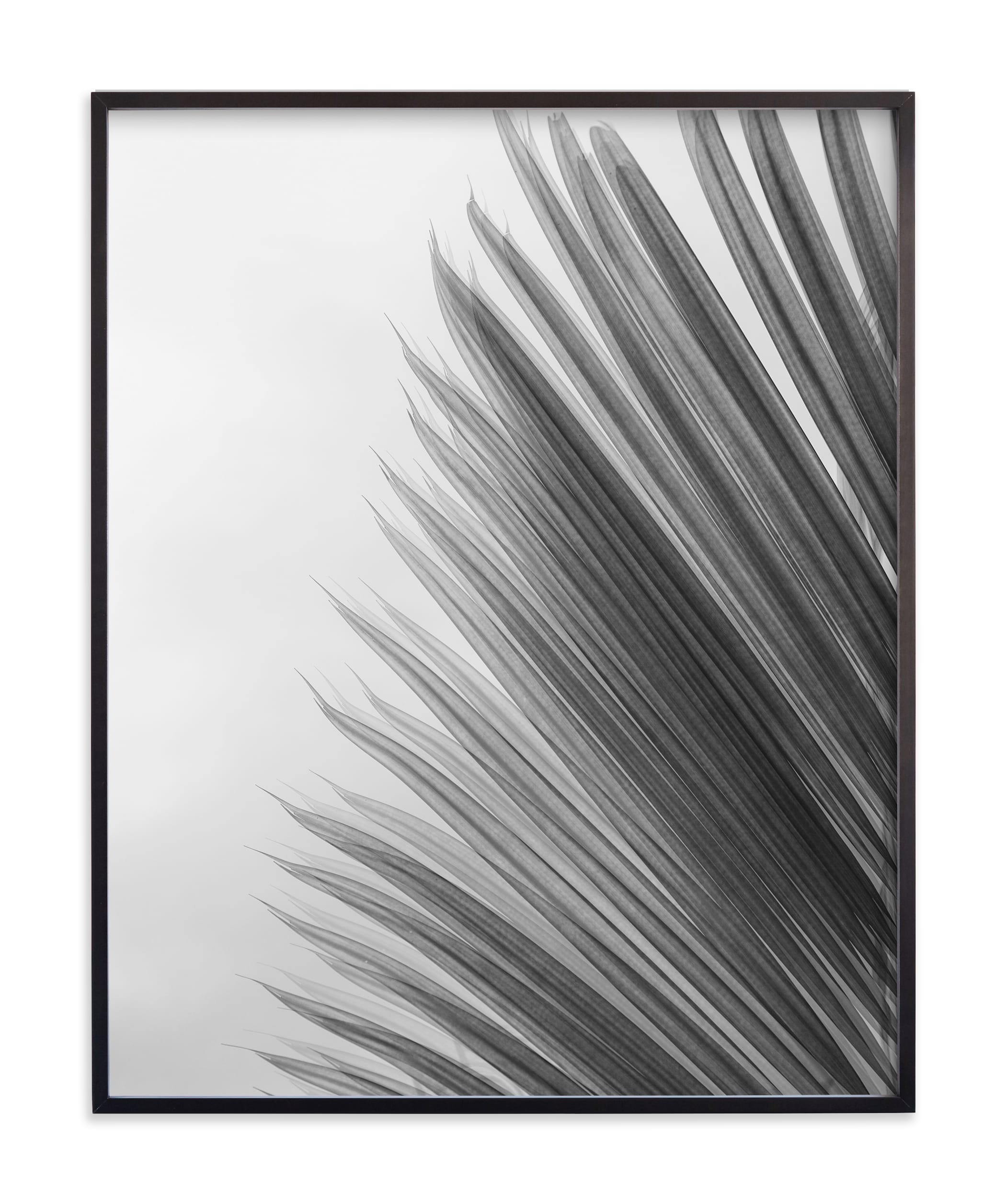"Palm leaves 1" - Limited Edition Art Print by Eliane Lamb in beautiful frame options and a variety of sizes.