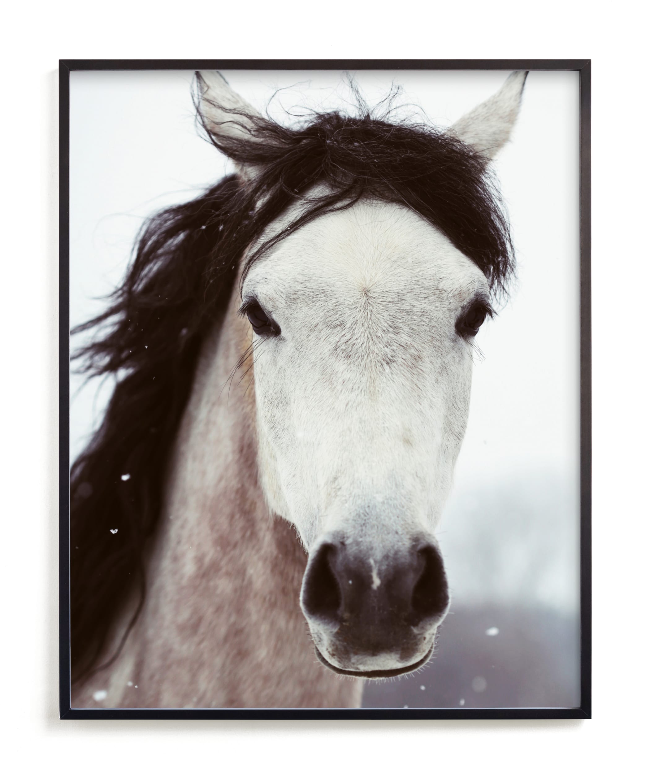 "Winter Horse" - Limited Edition Art Print by ALICIA BOCK in beautiful frame options and a variety of sizes.