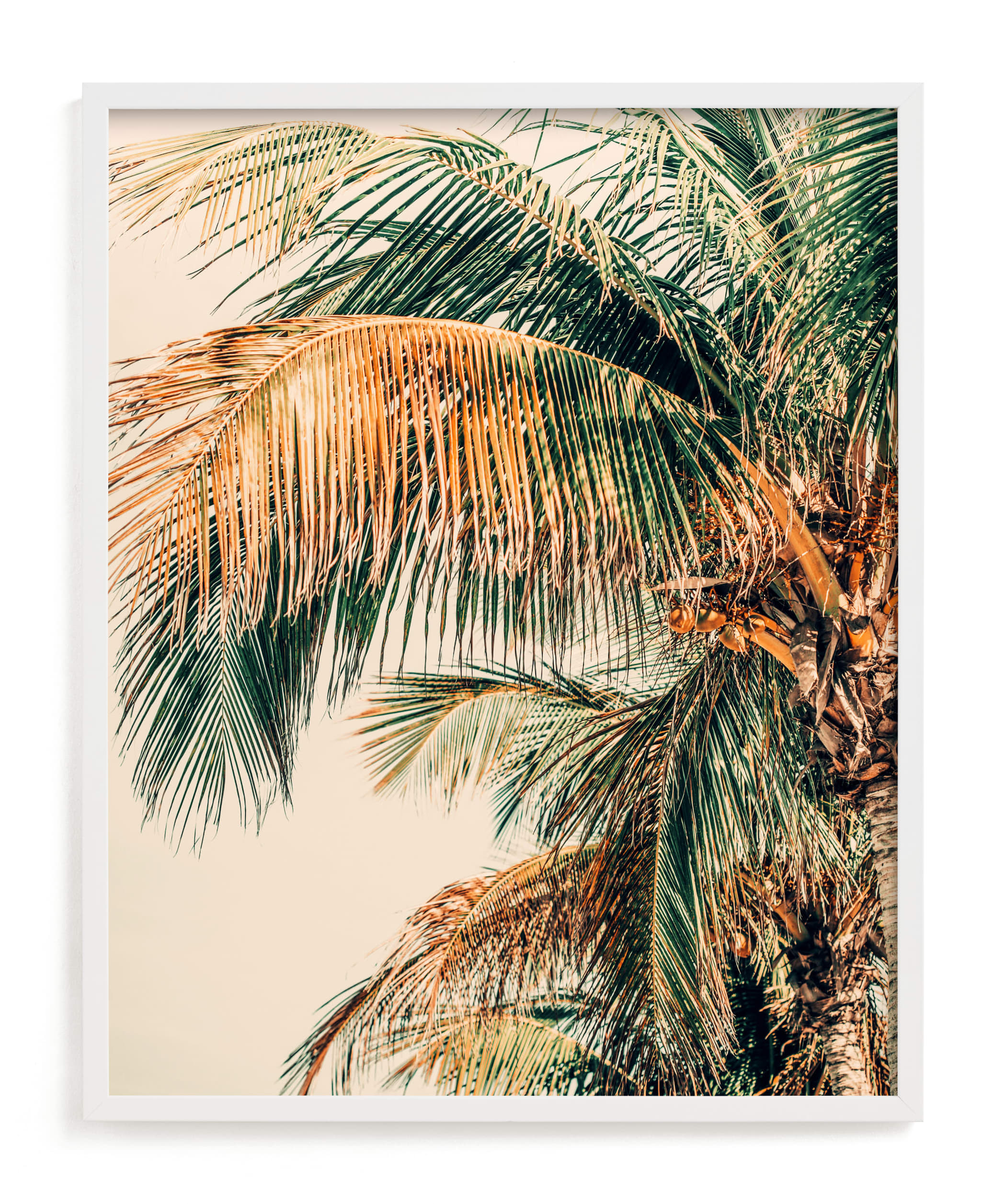 "Tropic Summer" - Limited Edition Art Print by ALICIA BOCK in beautiful frame options and a variety of sizes.