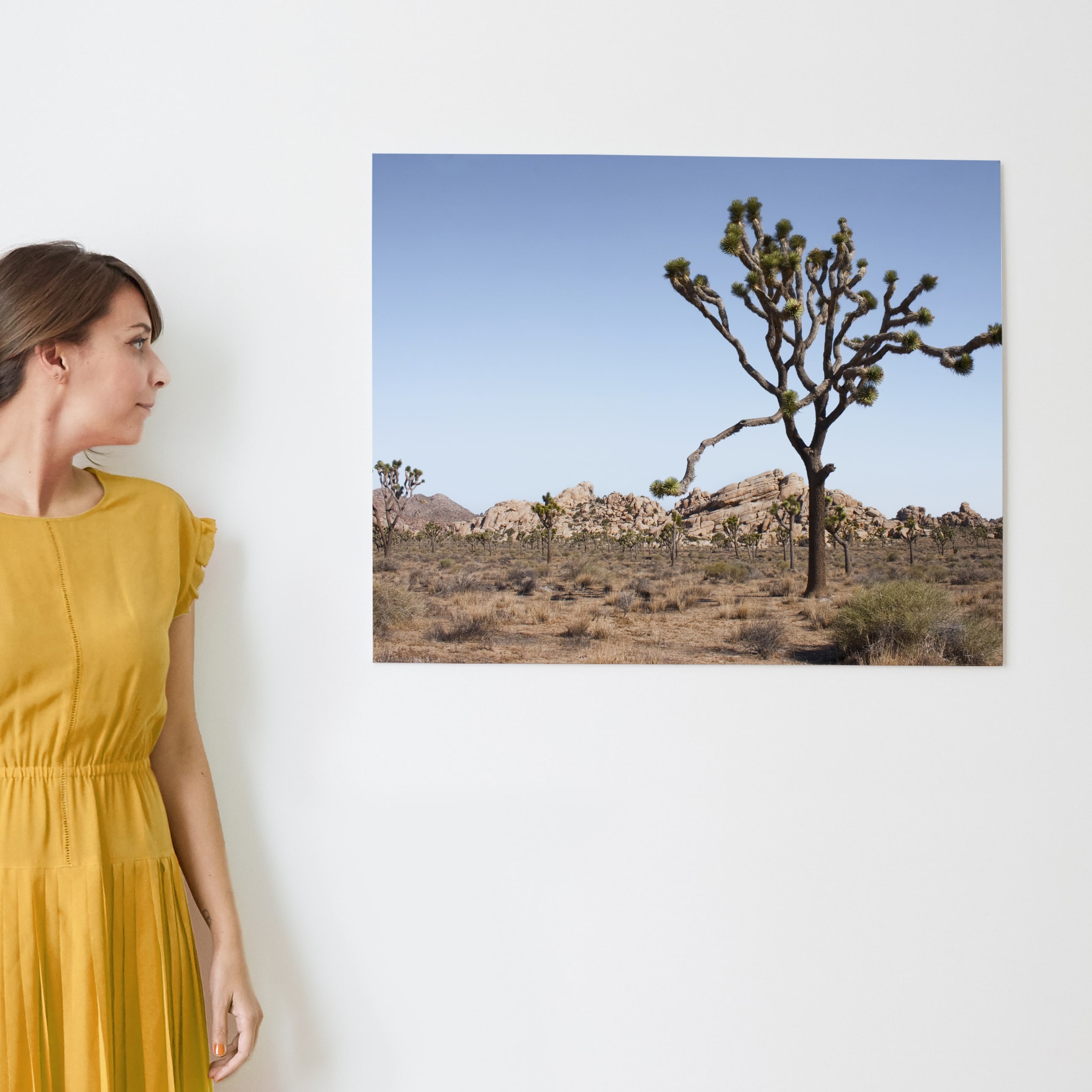 Joshua Tree With Rock Formation in Wall Art Prints by Kathy Van Torne ...