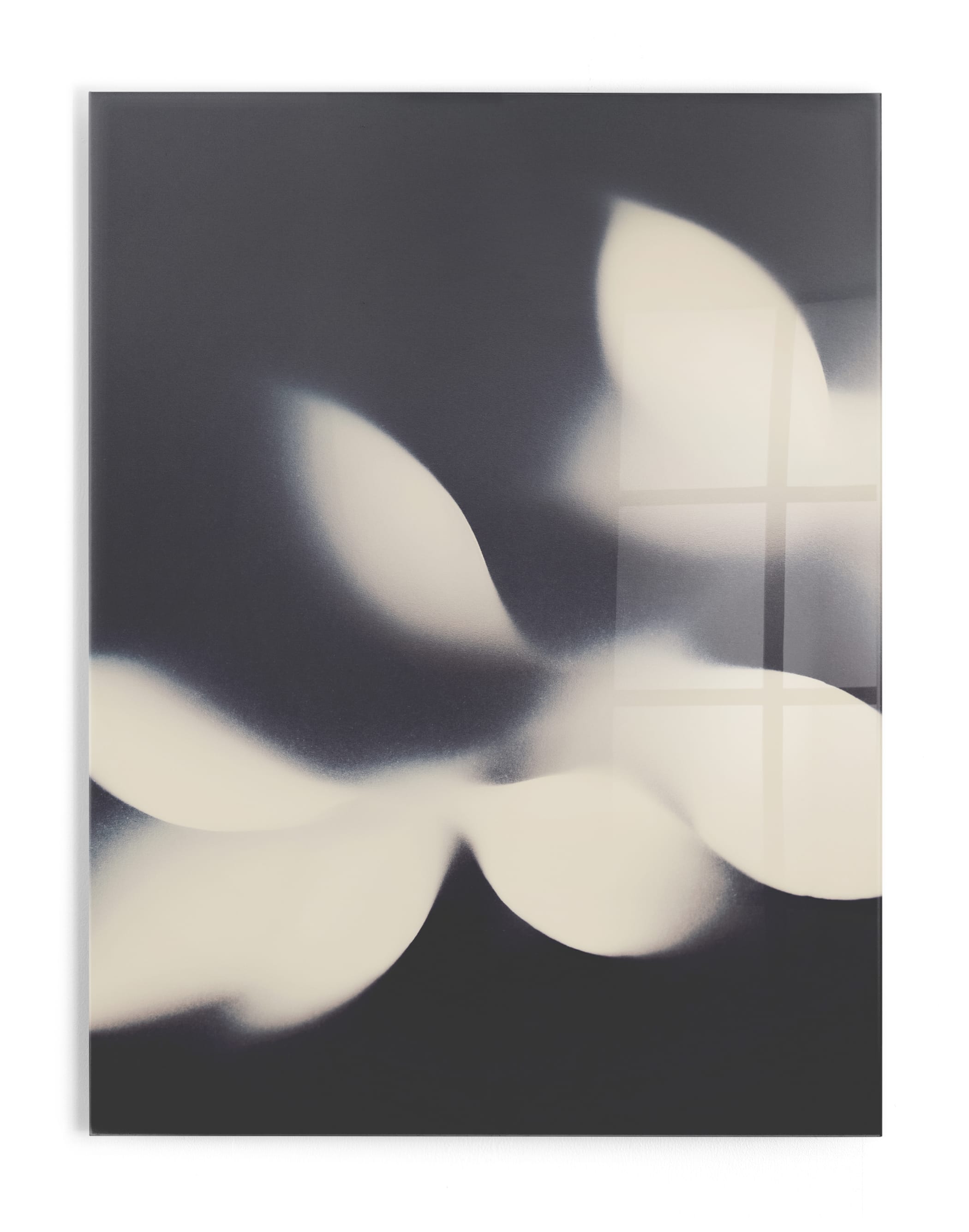 Emerging Wall Art Print