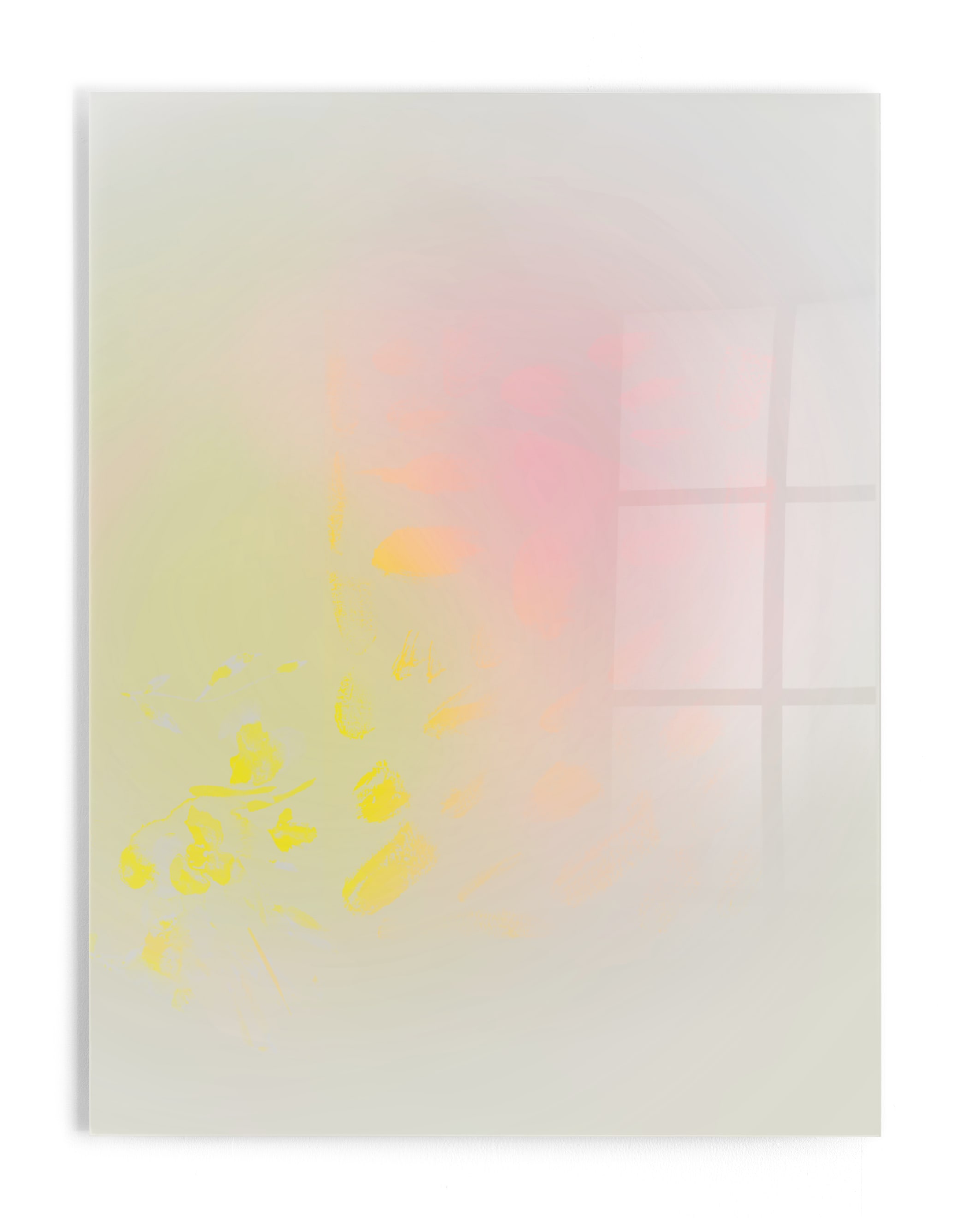 Bare Wall Art Print