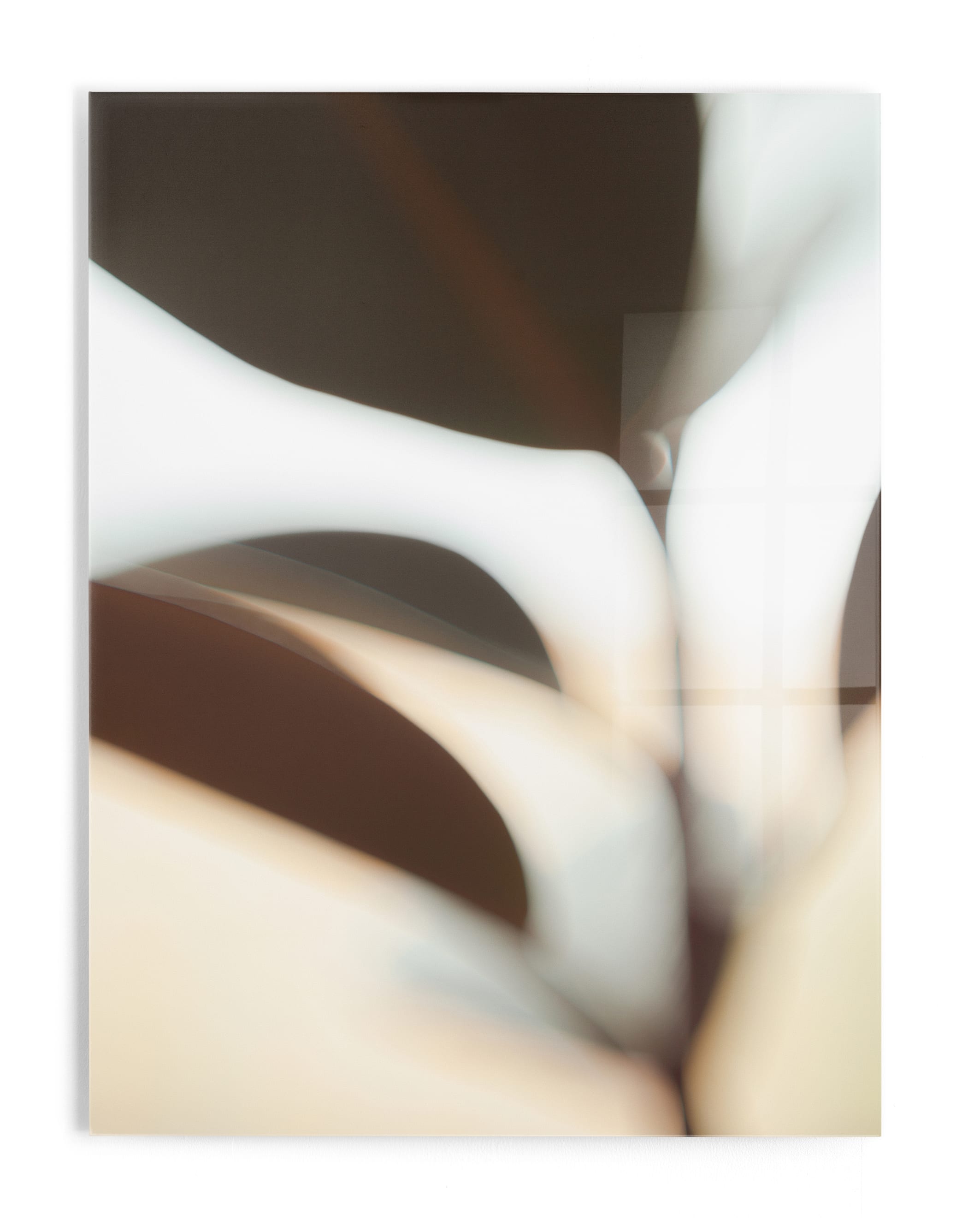 ficus I Wall Art Print
