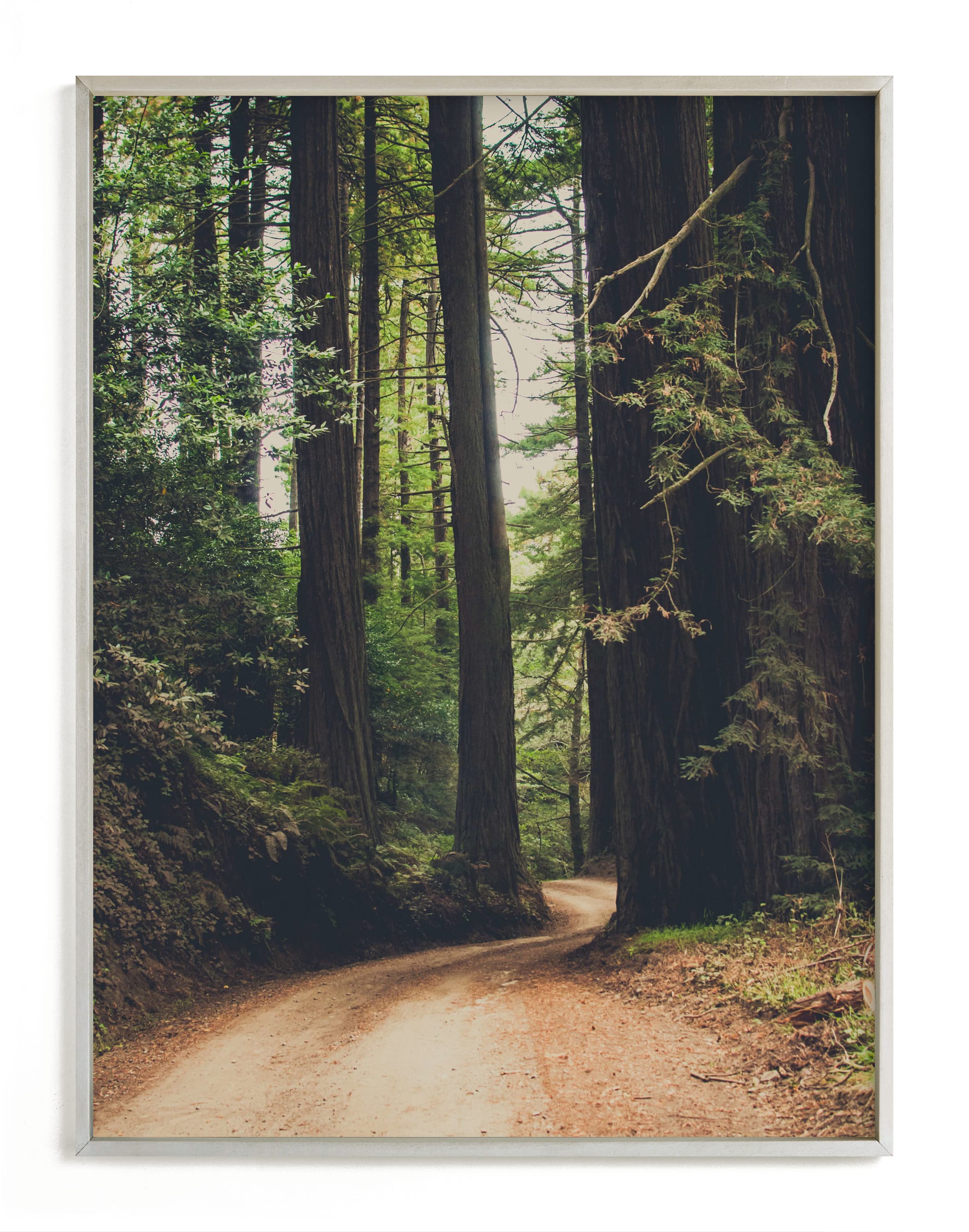 Walk Into the Woods Art Print