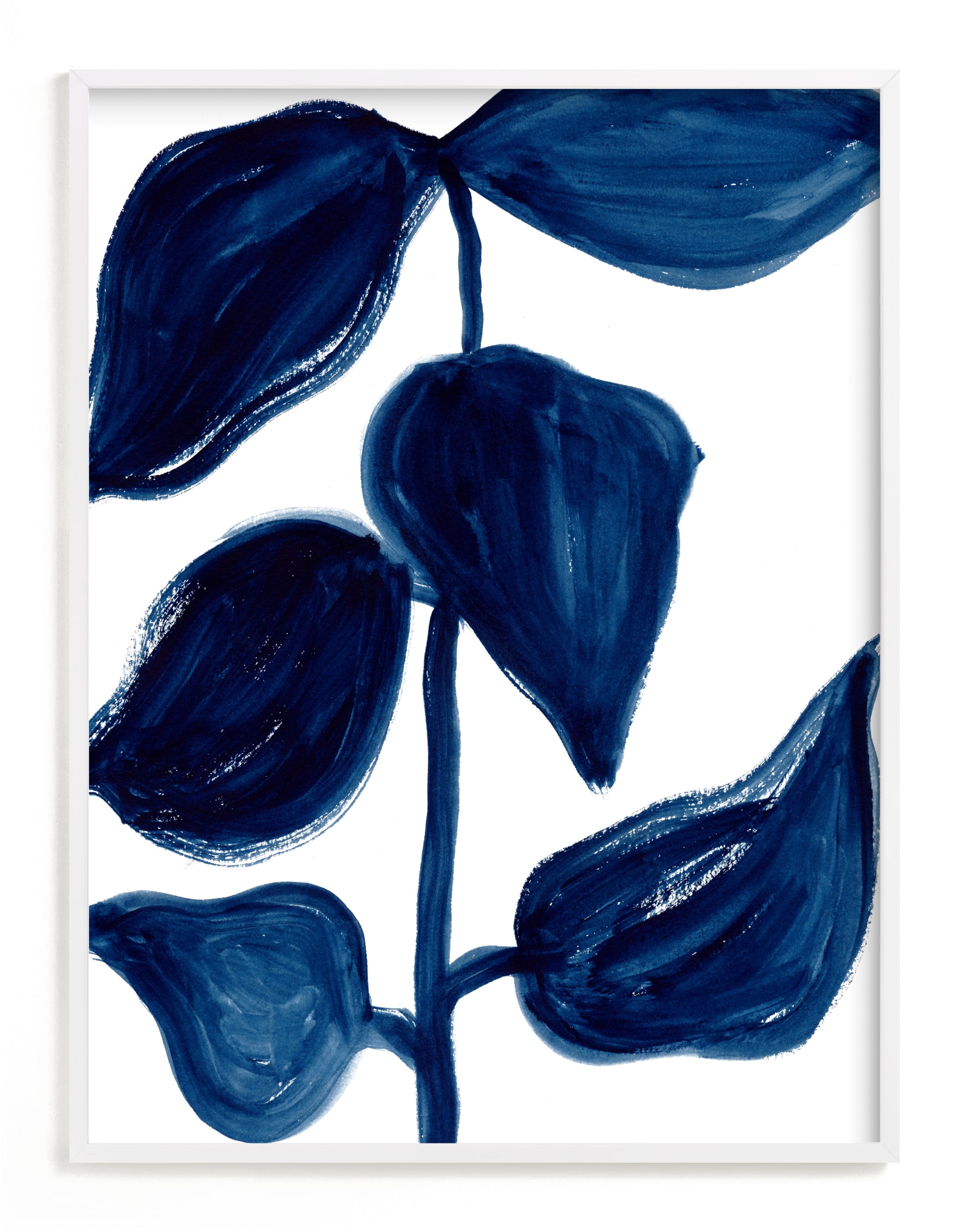 Indigo Plant