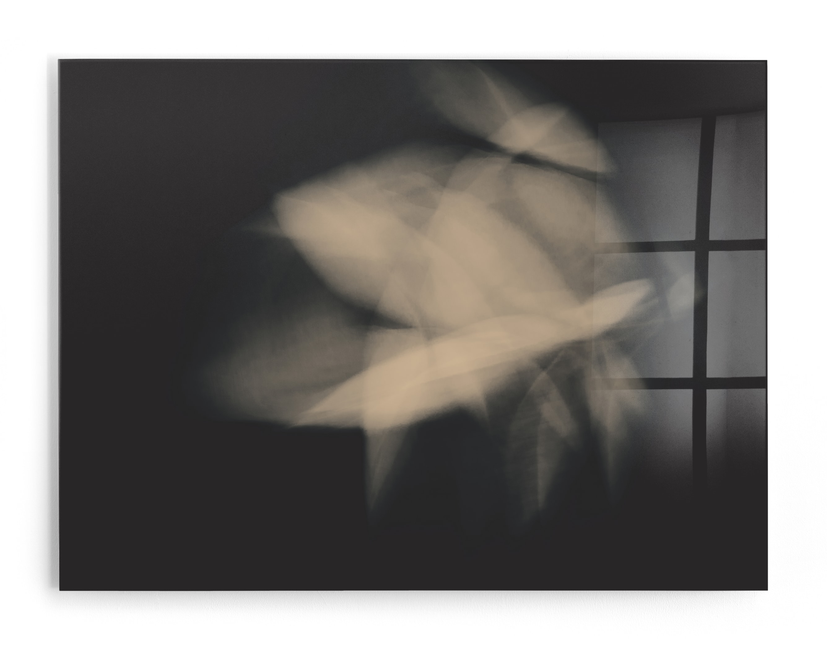 Flower Dance II Art Print