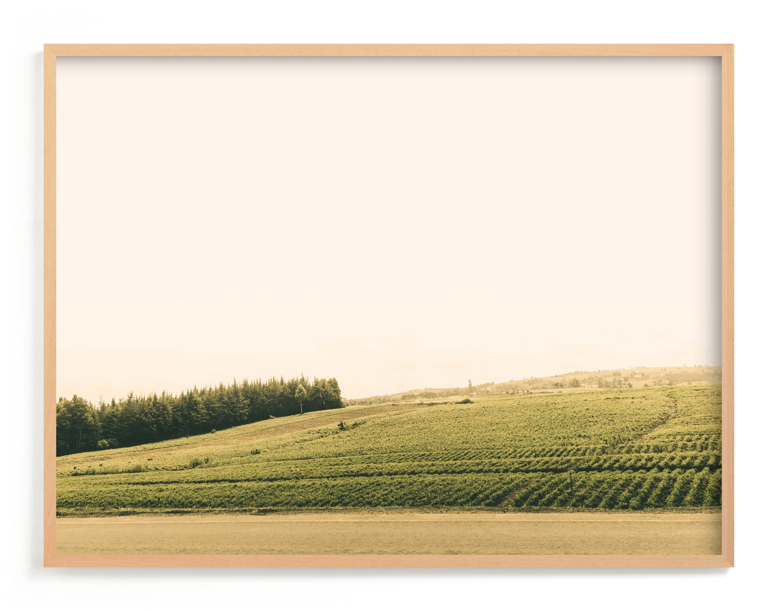 The Harvest Wall Art Print