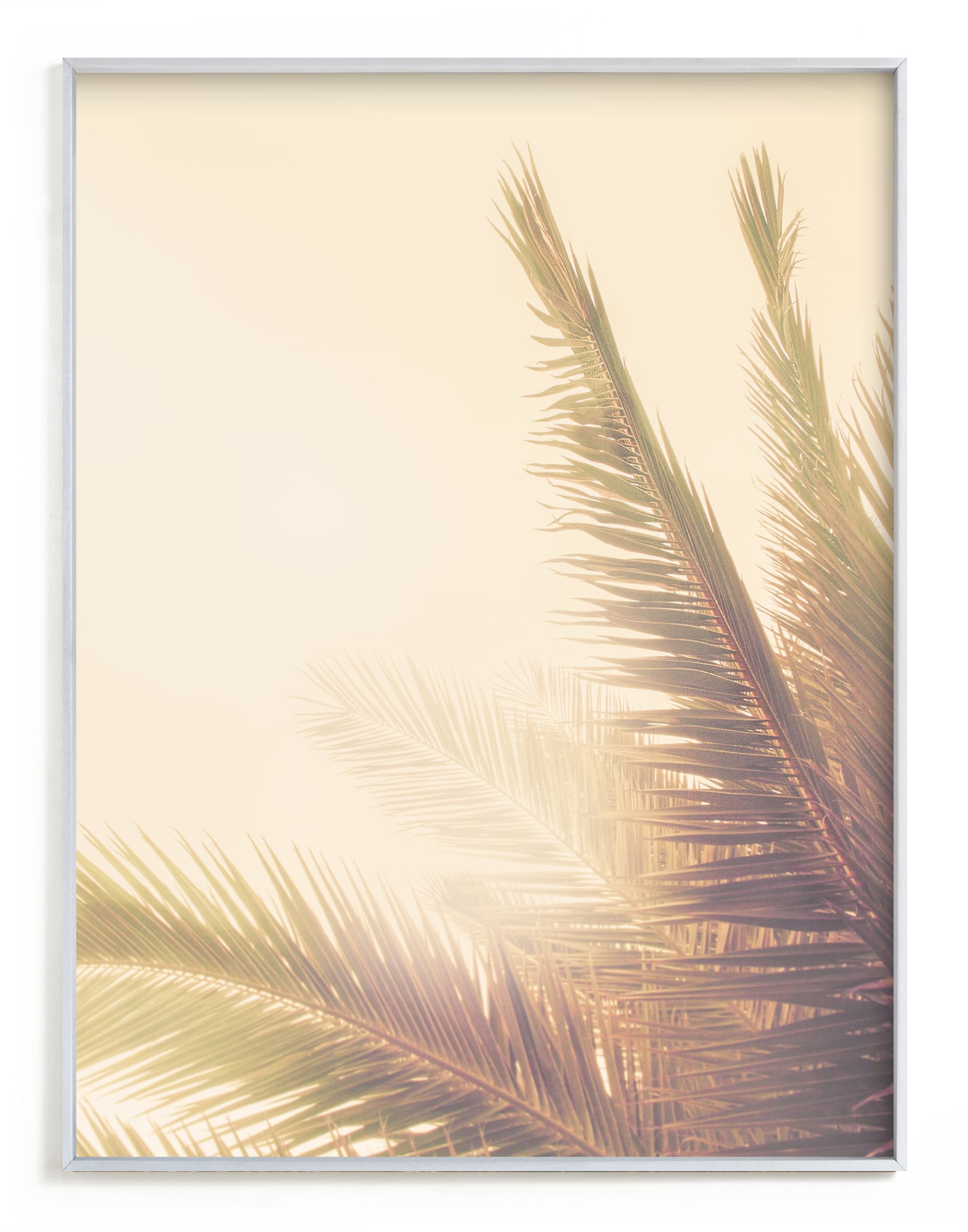 "Golden Palm Tree" - Limited Edition Art Print by Wilder California in beautiful frame options and a variety of sizes.