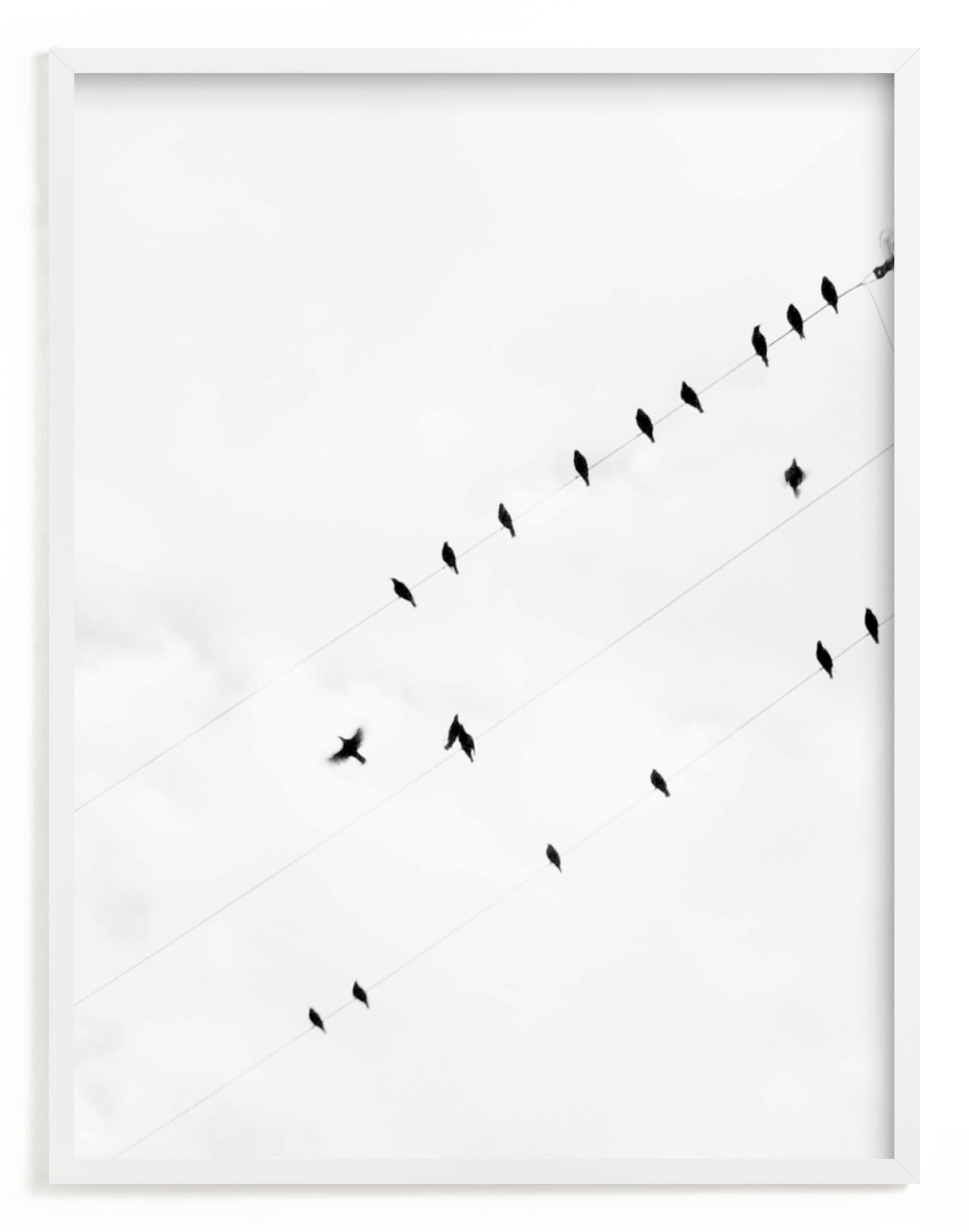 Birds On A Wire Wall Art Prints By Angela Thompson Minted You do not need to take care when doing this. birds on a wire photography limited edition art print by angela thompson
