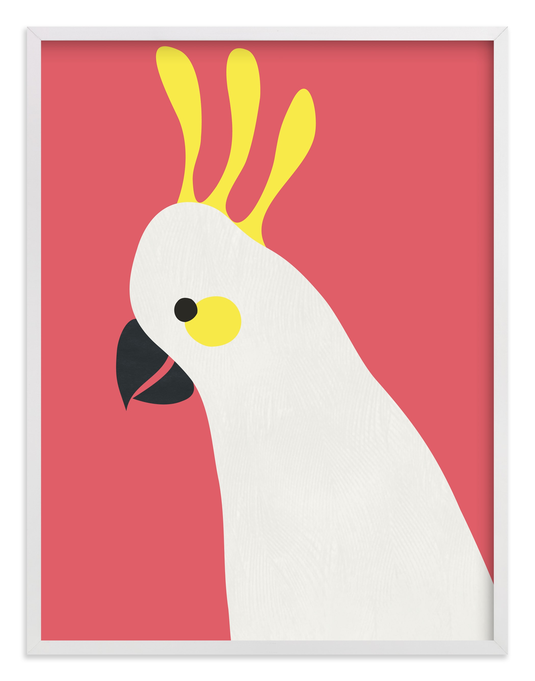 "Hello Cocky! " - Art Print by Catherine Culvenor in beautiful frame options and a variety of sizes.