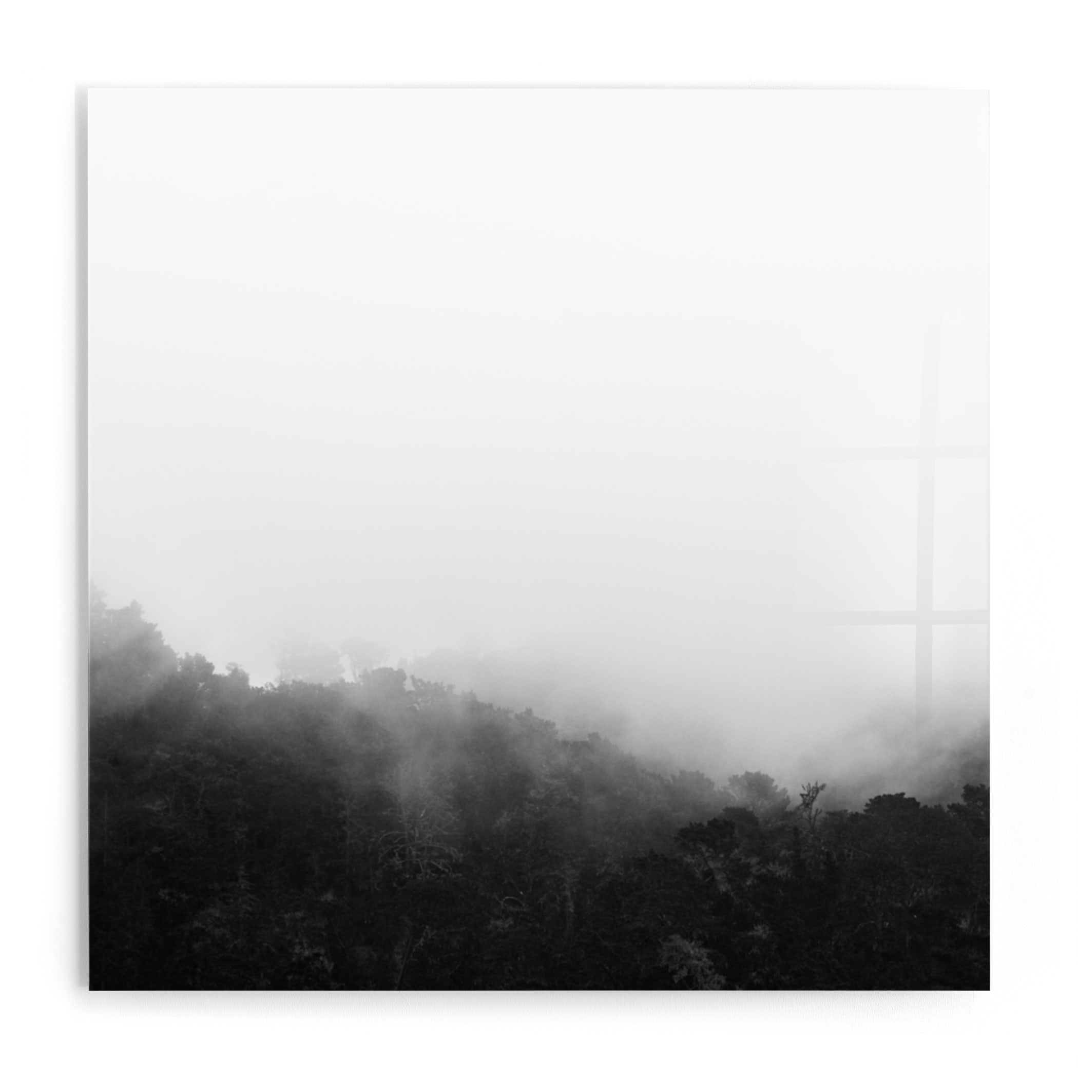 Bewilder Art Print