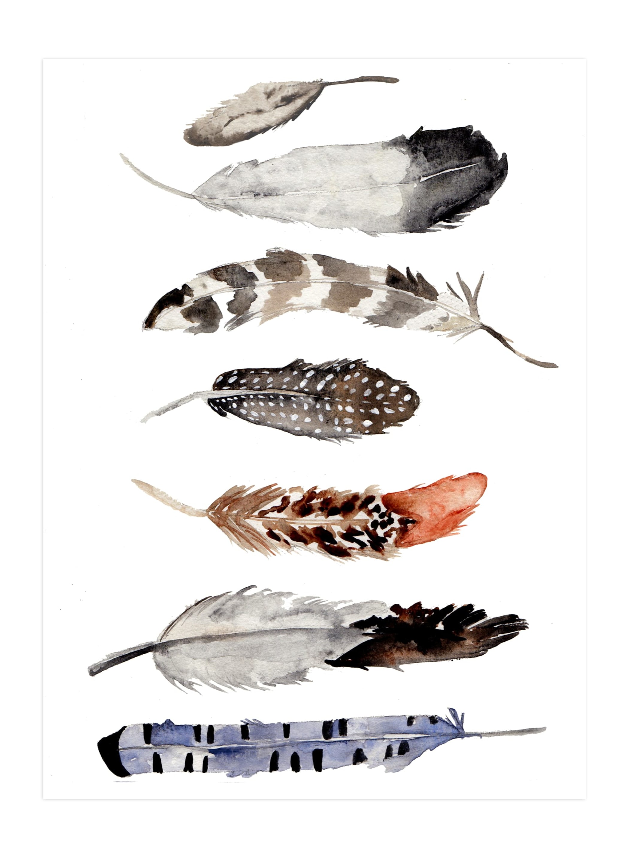 Feather Print Wall Art Prints by Shannon Kirsten Minted