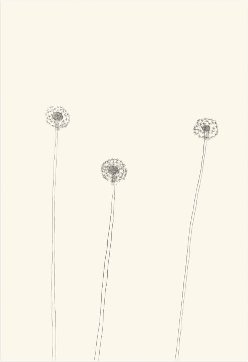 This is a white art by Jorey Hurley called Dandelions.