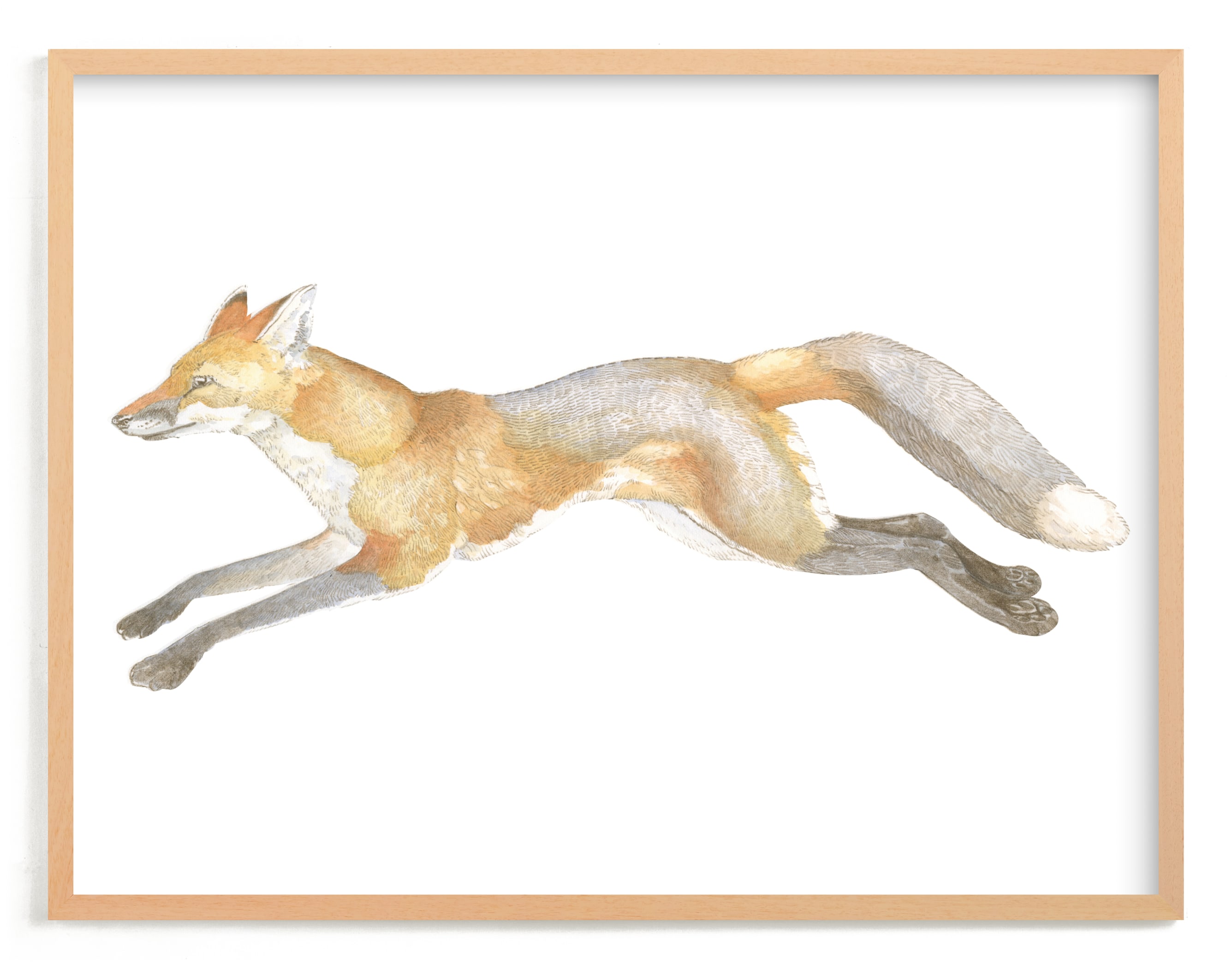 Swift Fox Wall Art Prints By Natalie Groves Minted