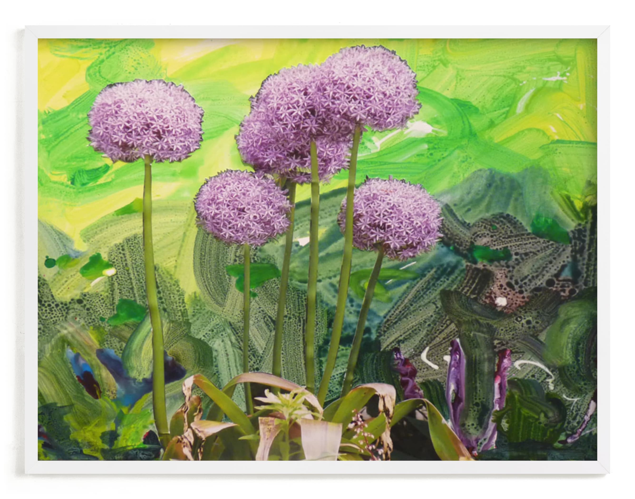 "Toronto Alliums" - Art Print by Annie Seaton in beautiful frame options and a variety of sizes.