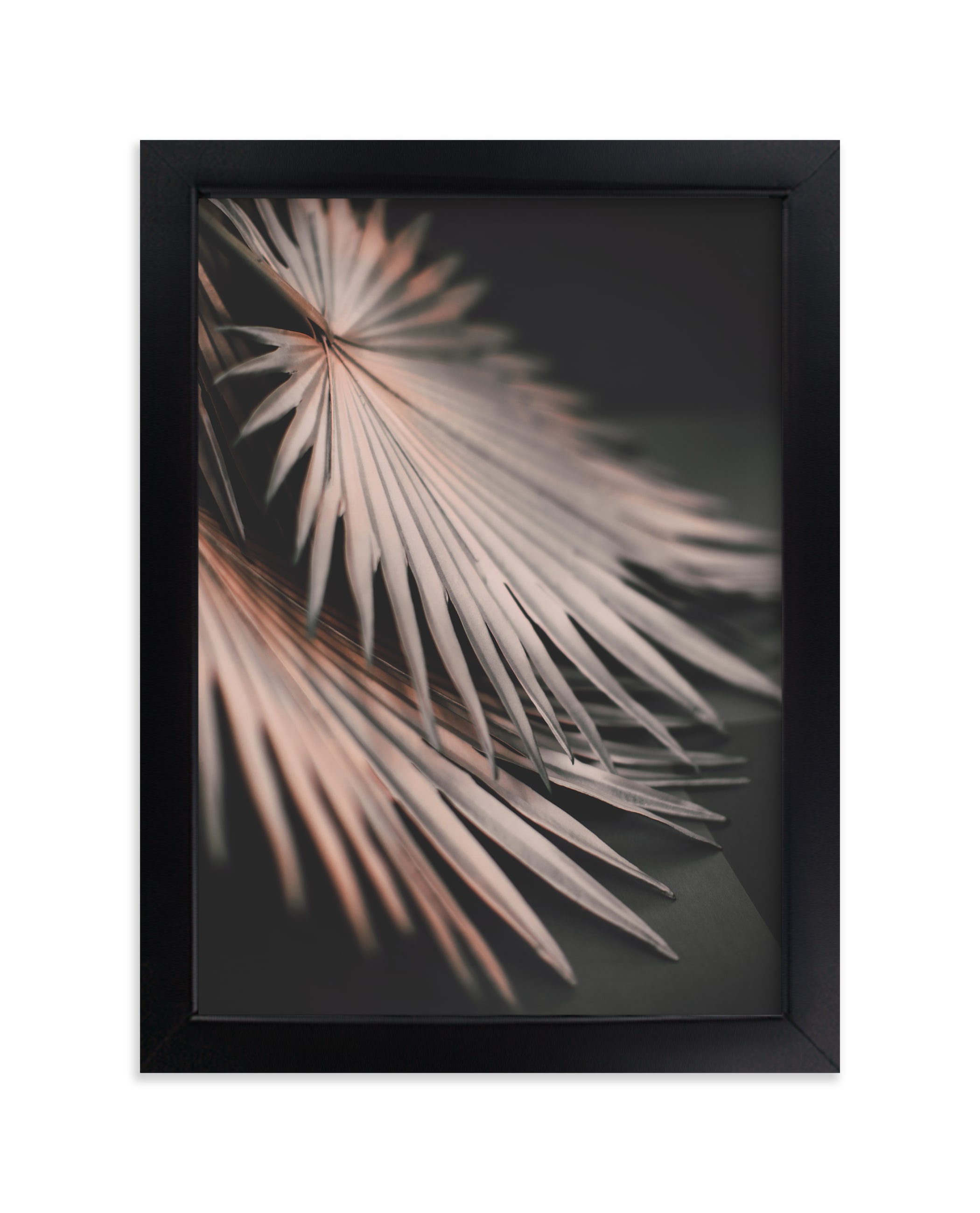 "Copper Ferns 1" - Limited Edition Art Print by Alicia Abla in beautiful frame options and a variety of sizes.