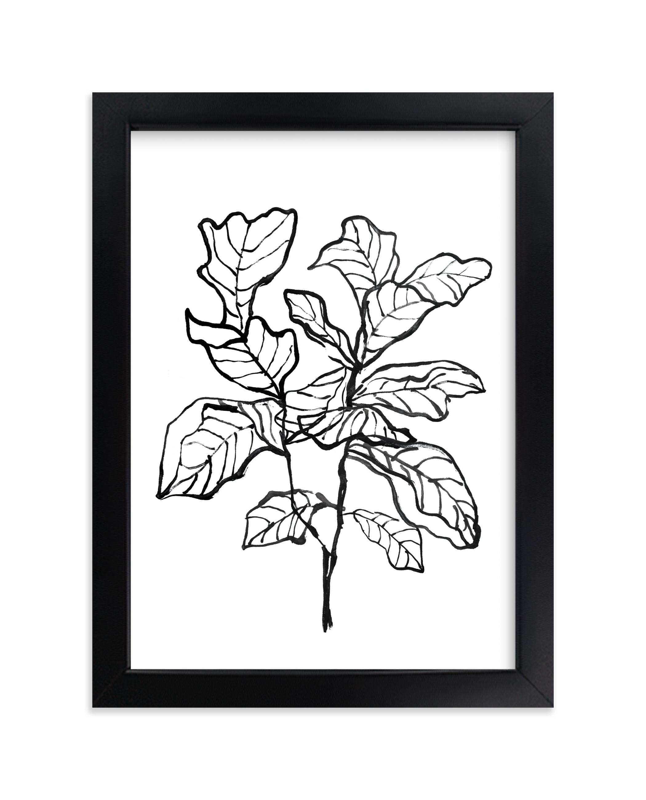 "Fiddle-leaf fig tree 1" - Limited Edition Art Print by Cass Loh in beautiful frame options and a variety of sizes.