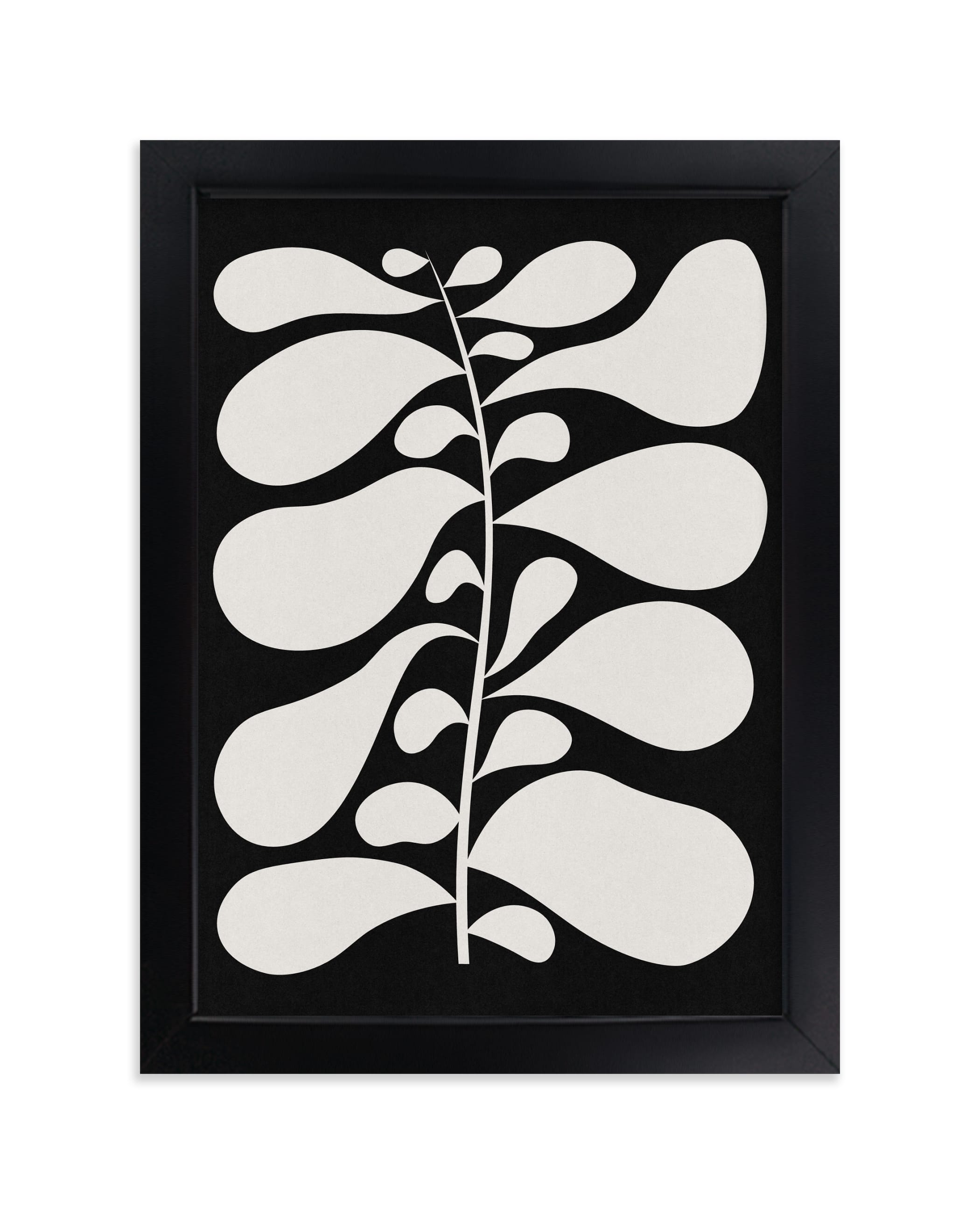 "Black Plant II" - Limited Edition Art Print by Alisa Galitsyna in beautiful frame options and a variety of sizes.