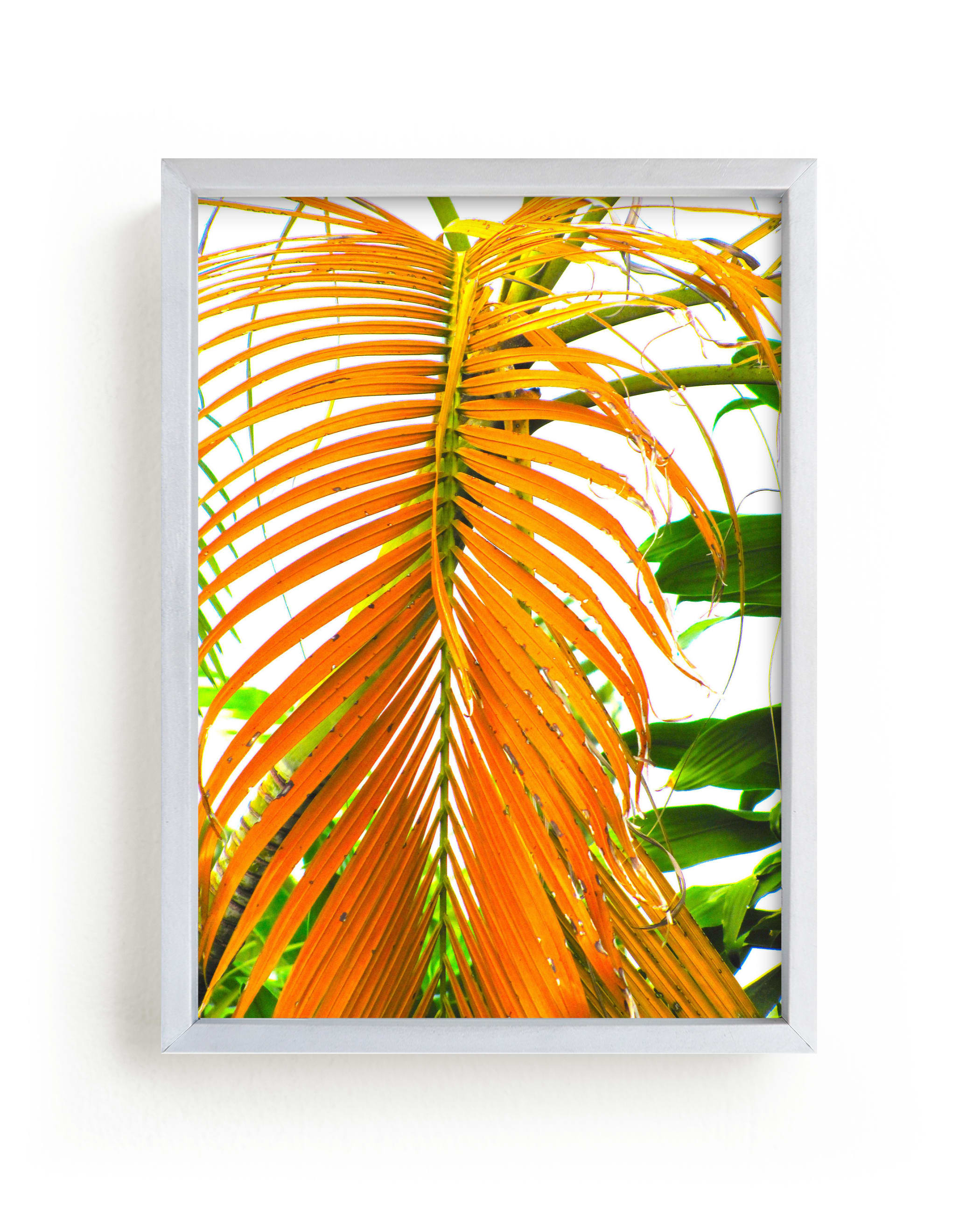 "Meet Me In Miami II" - Art Print by Jonathan Brooks in beautiful frame options and a variety of sizes.