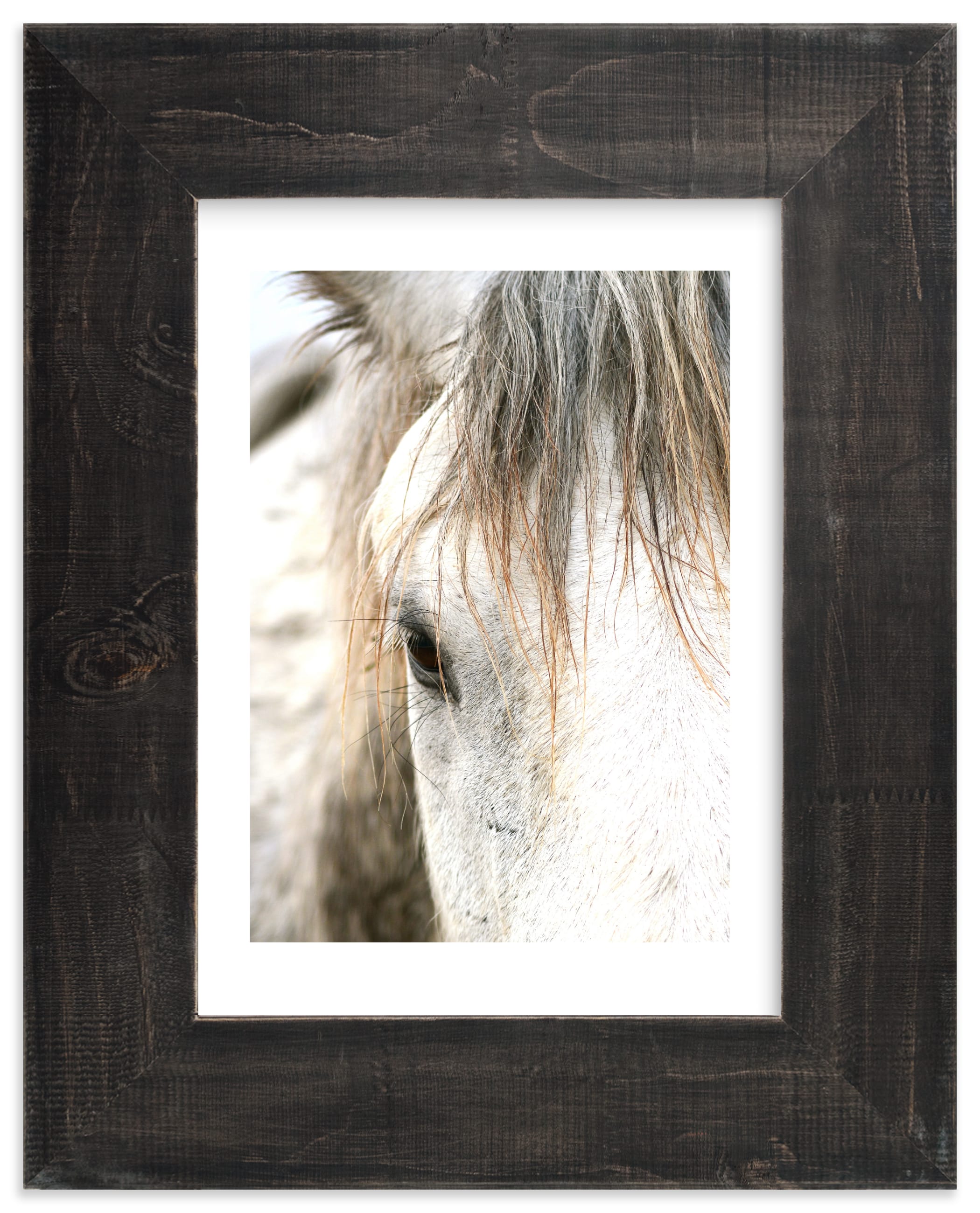 Wild Horse Eye Wall Art Prints by Michelle Detering Minted