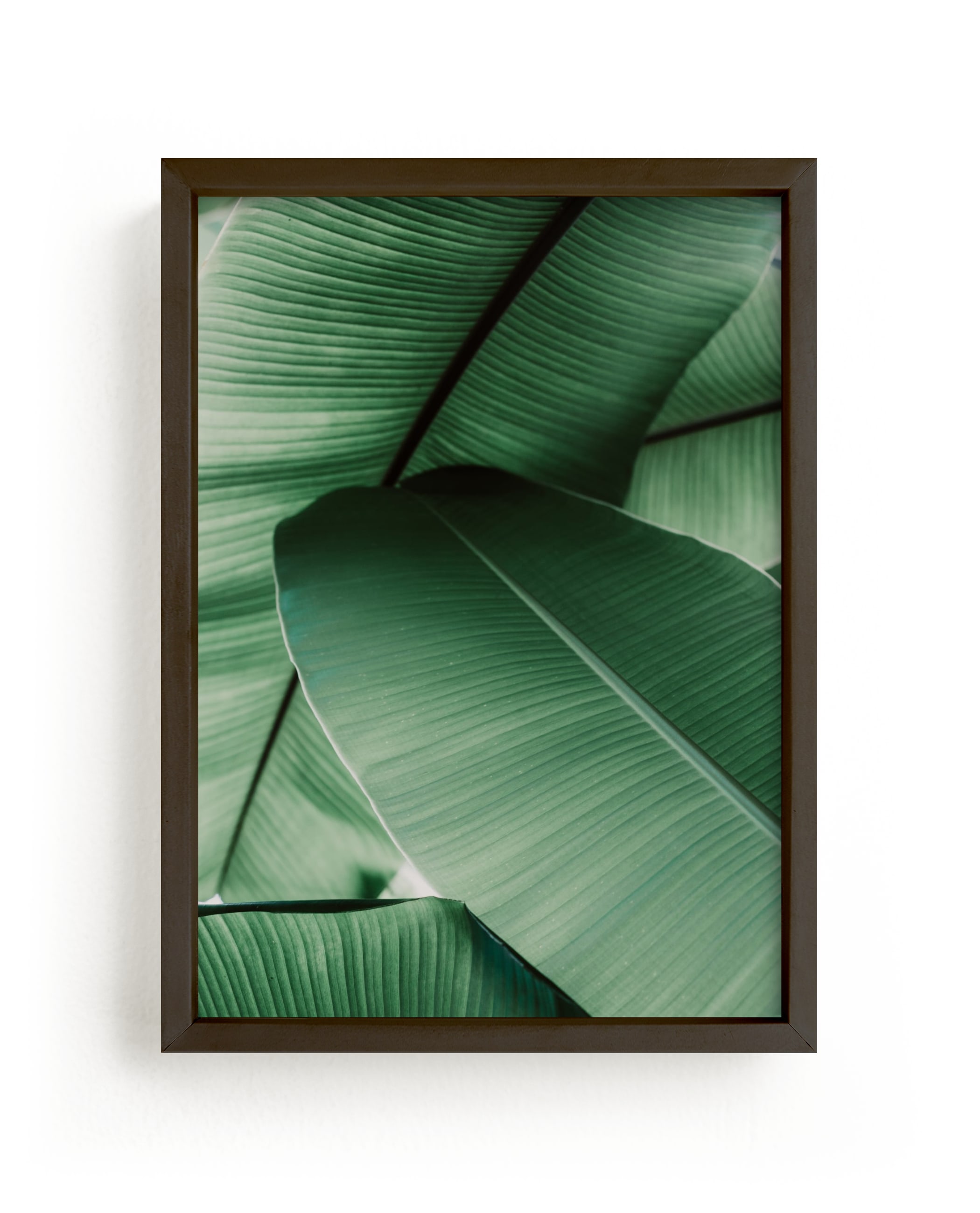 "Tropical Leaves" - Grownup Open Edition Non-custom Art Print by Alicia Abla in beautiful frame options and a variety of sizes.