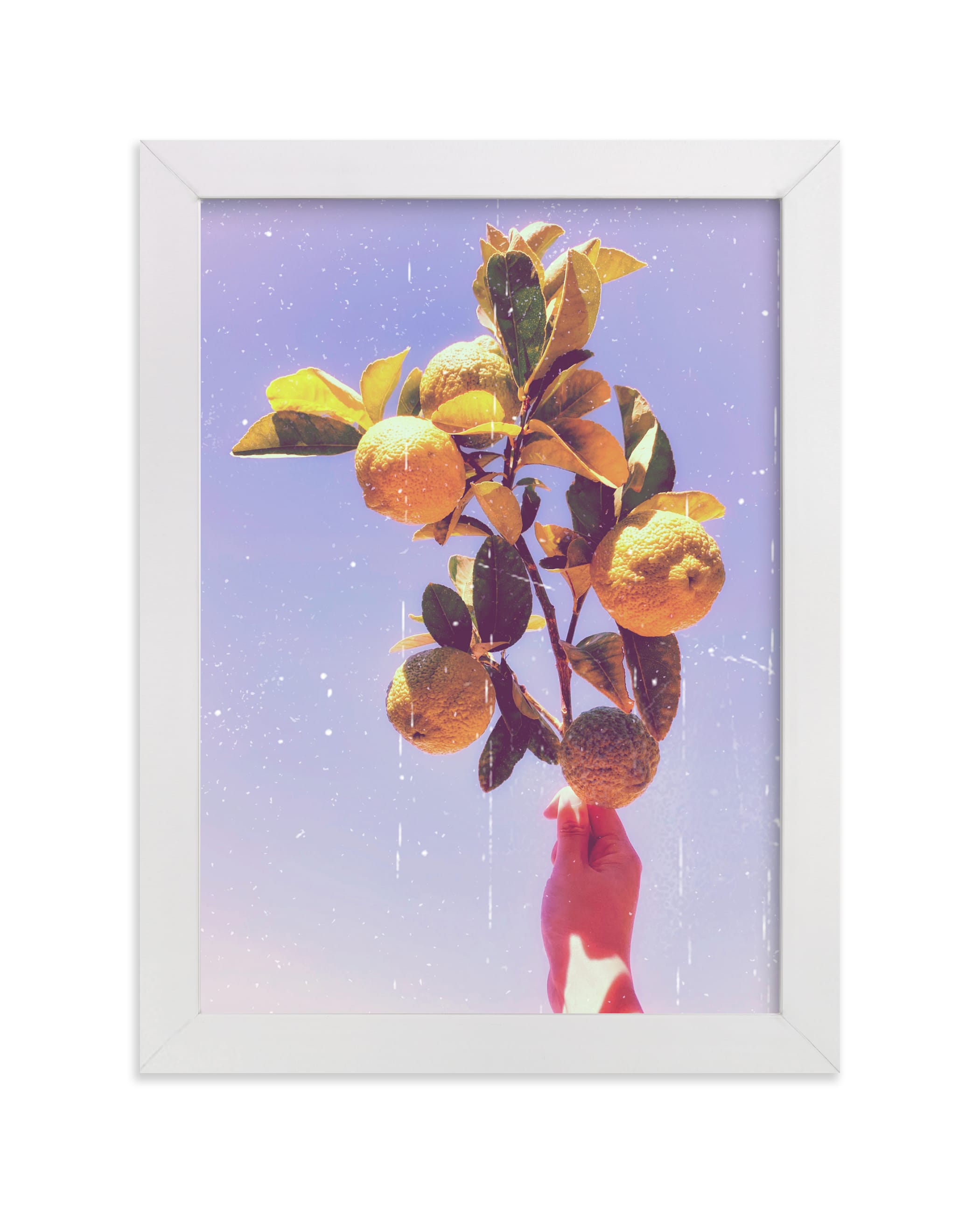 "Lemon Dreaming" - Limited Edition Art Print by Jiny He in beautiful frame options and a variety of sizes.